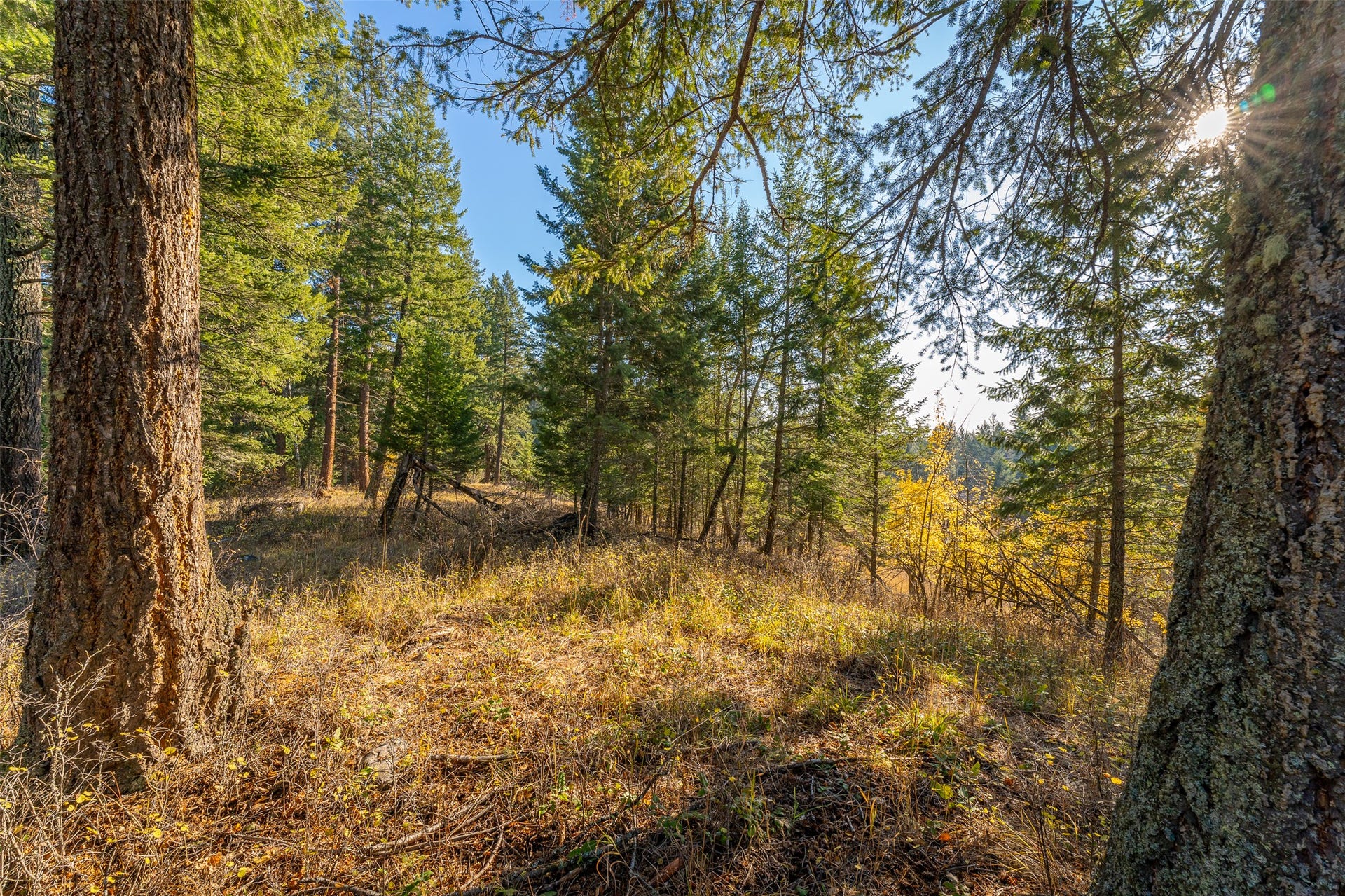 156 Peters Creek Way, Kalispell, MT 59901