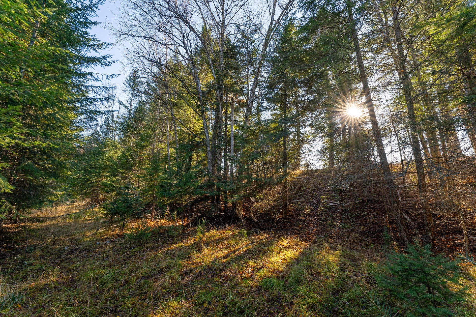 156 Peters Creek Way, Kalispell, MT 59901