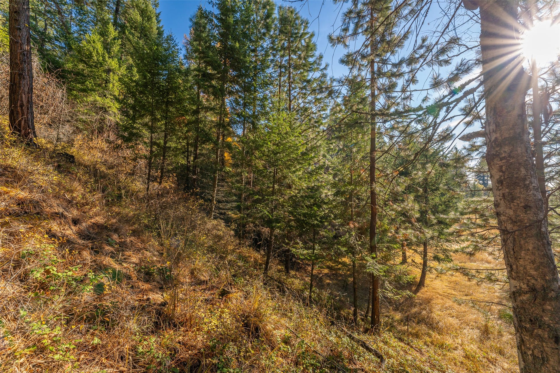 156 Peters Creek Way, Kalispell, MT 59901