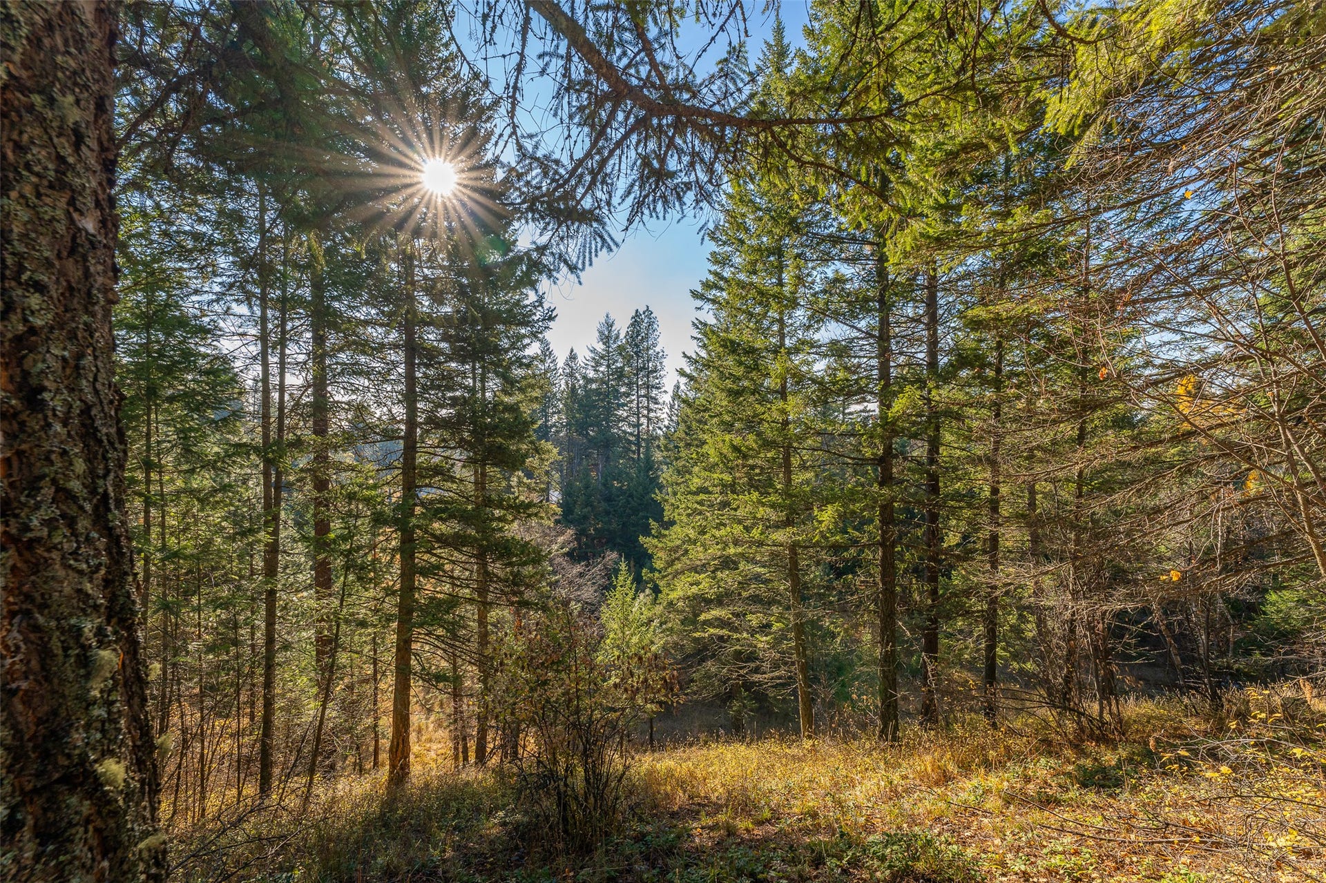 156 Peters Creek Way, Kalispell, MT 59901