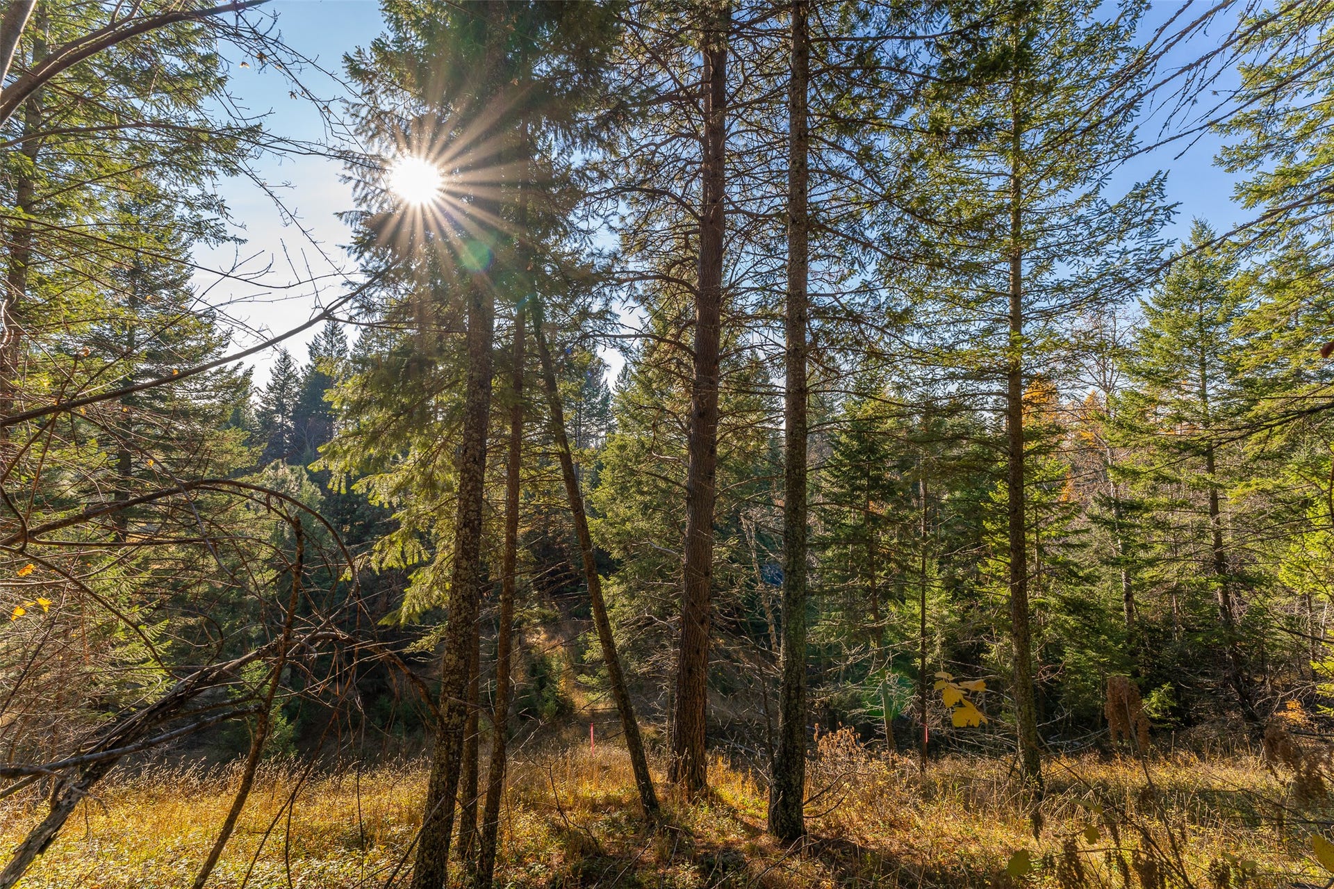 156 Peters Creek Way, Kalispell, MT 59901
