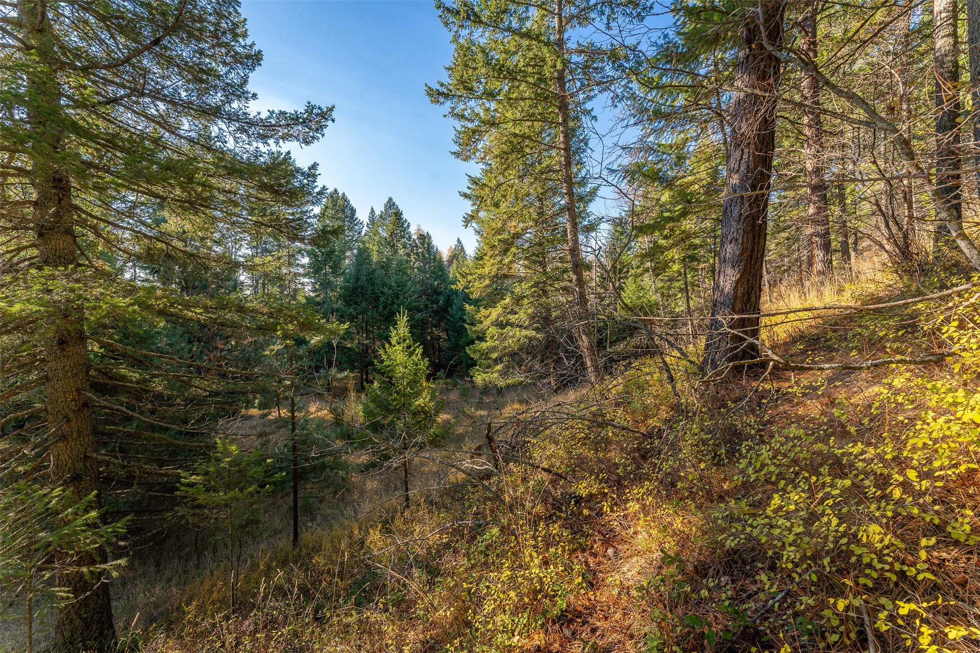 156 Peters Creek Way, Kalispell, MT 59901