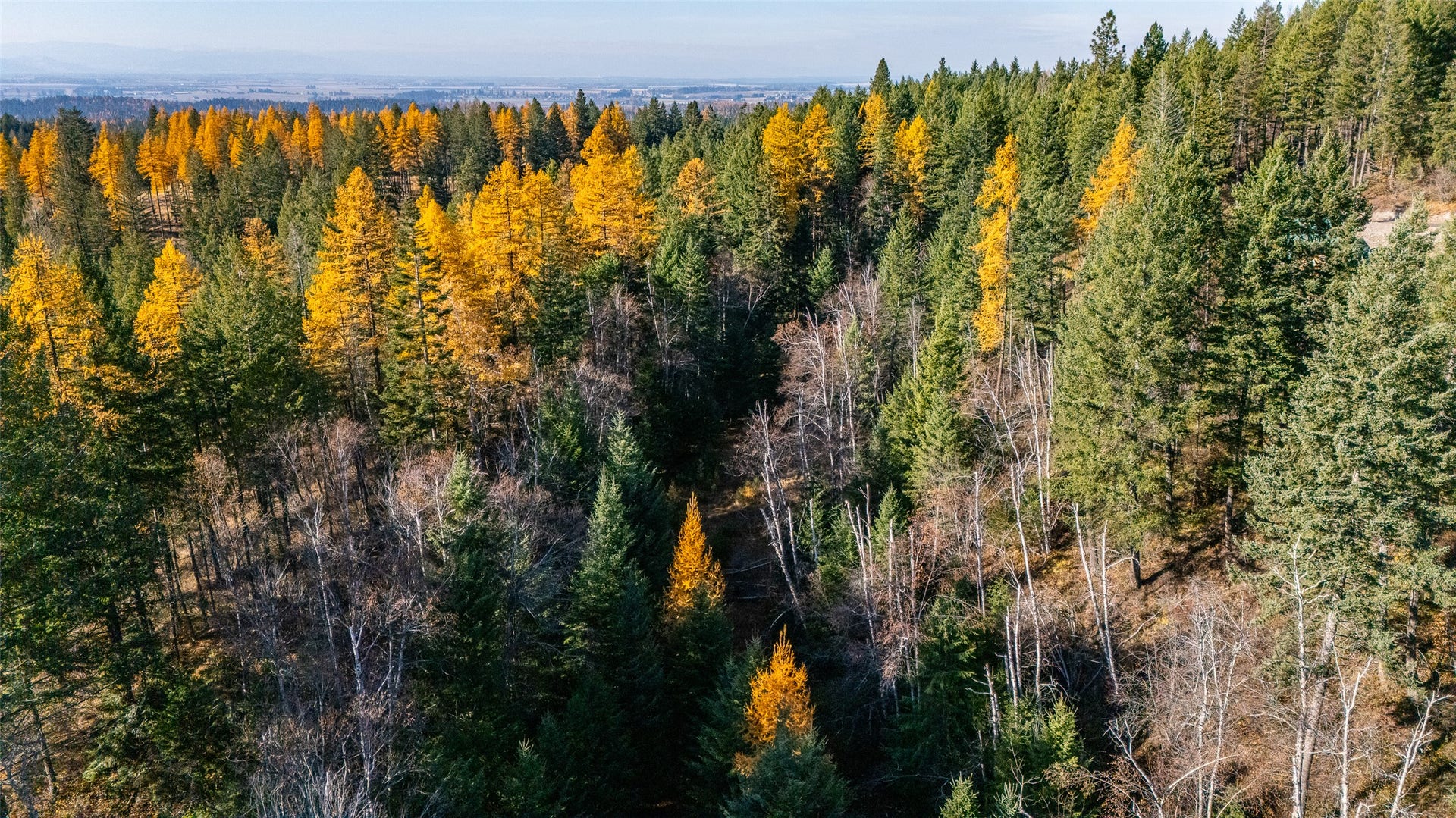156 Peters Creek Way, Kalispell, MT 59901