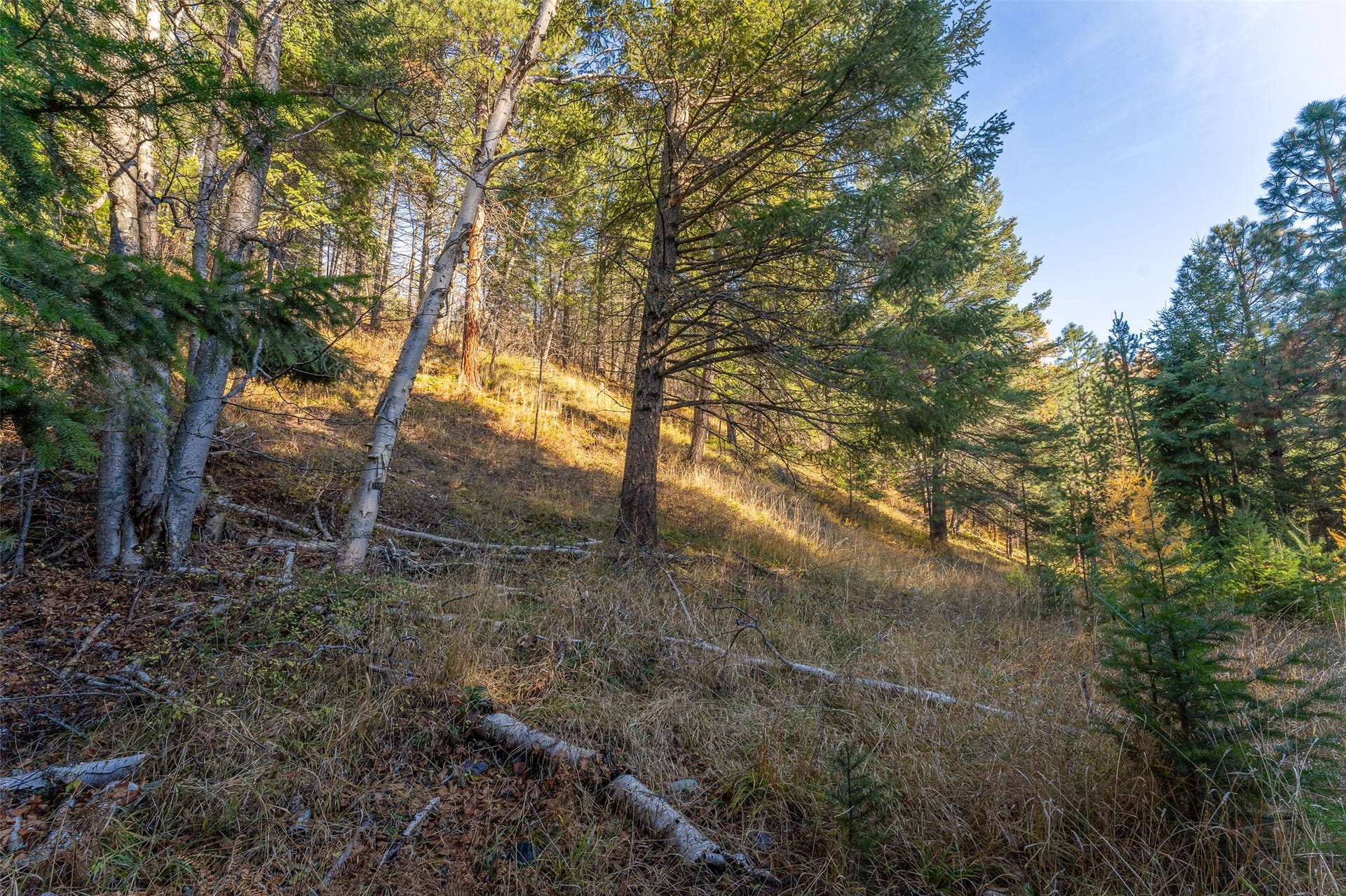 156 Peters Creek Way, Kalispell, MT 59901