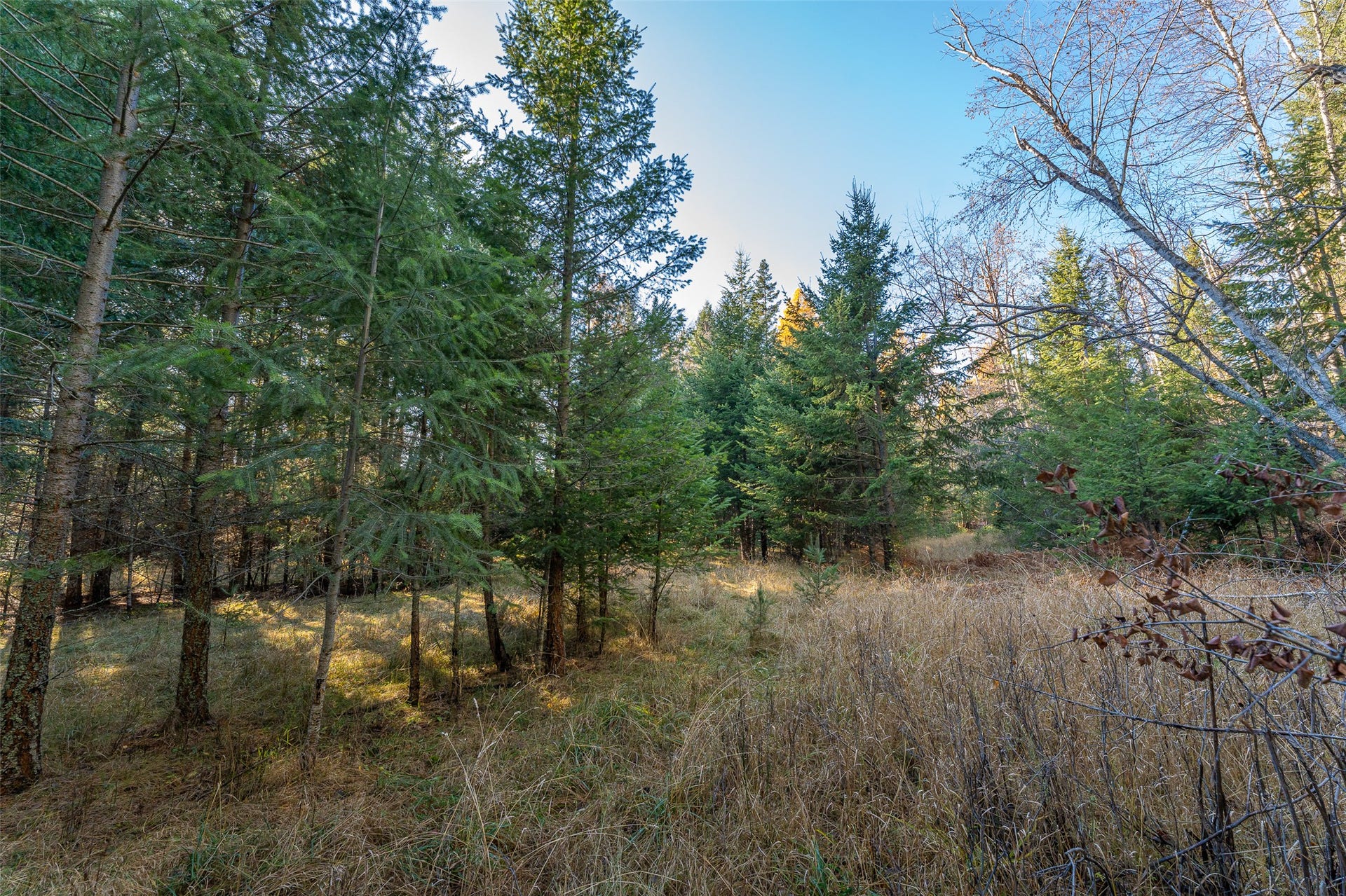 156 Peters Creek Way, Kalispell, MT 59901
