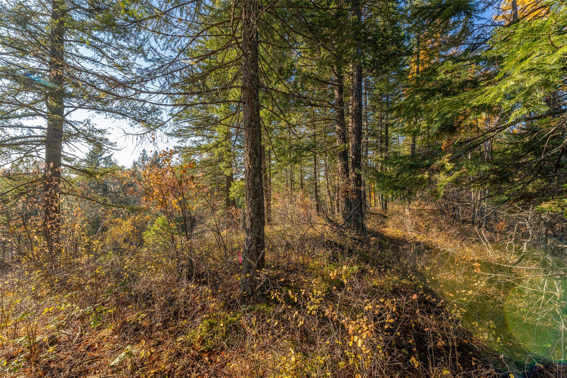 156 Peters Creek Way, Kalispell, MT 59901