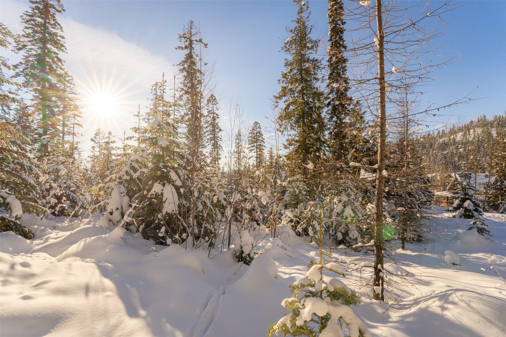 165 Woodland Star Circle, Whitefish, MT 59937 165 Woodland Star Circle, Whitefish, MT 59937
