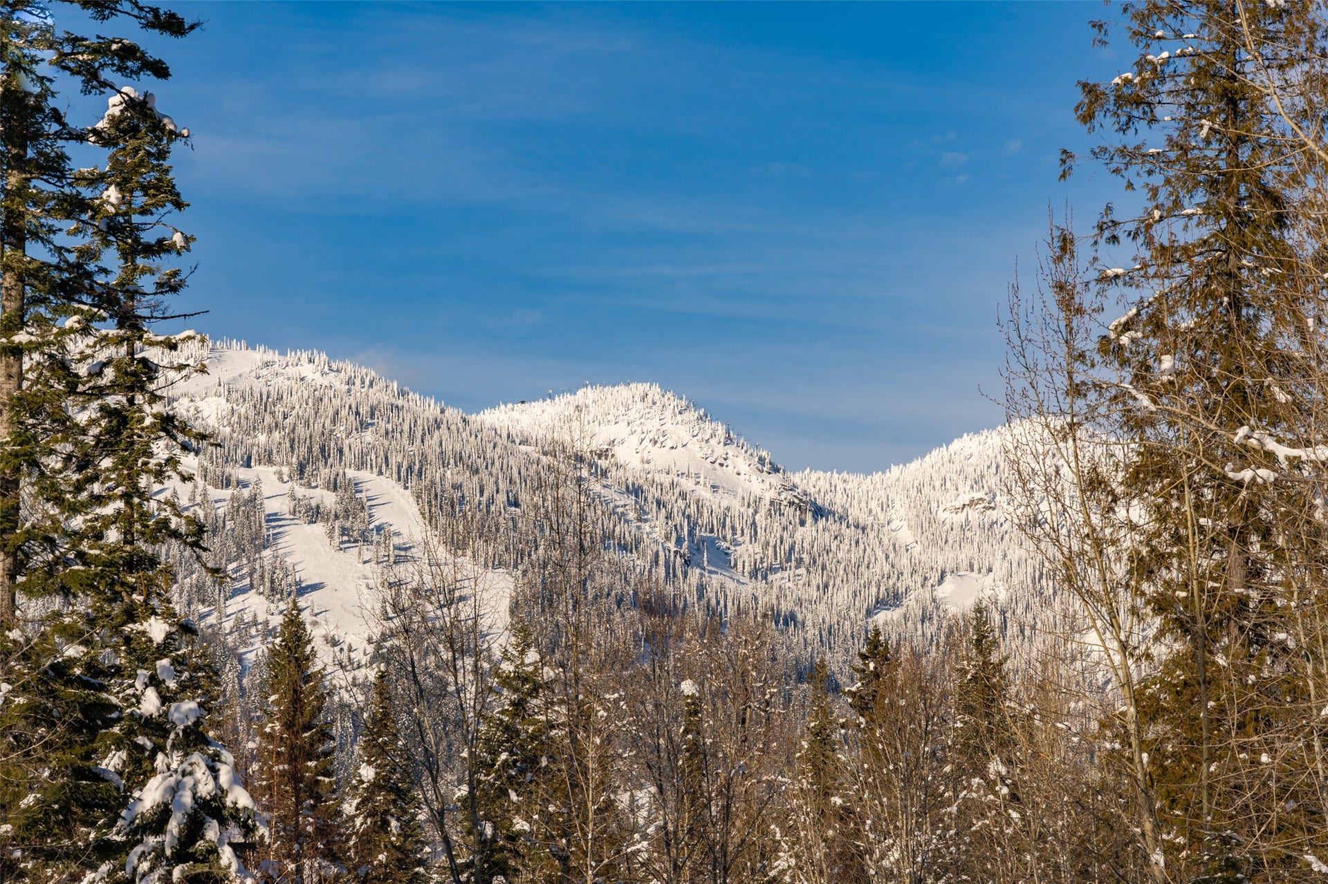 165 Woodland Star Circle, Whitefish, MT 59937 165 Woodland Star Circle, Whitefish, MT 59937