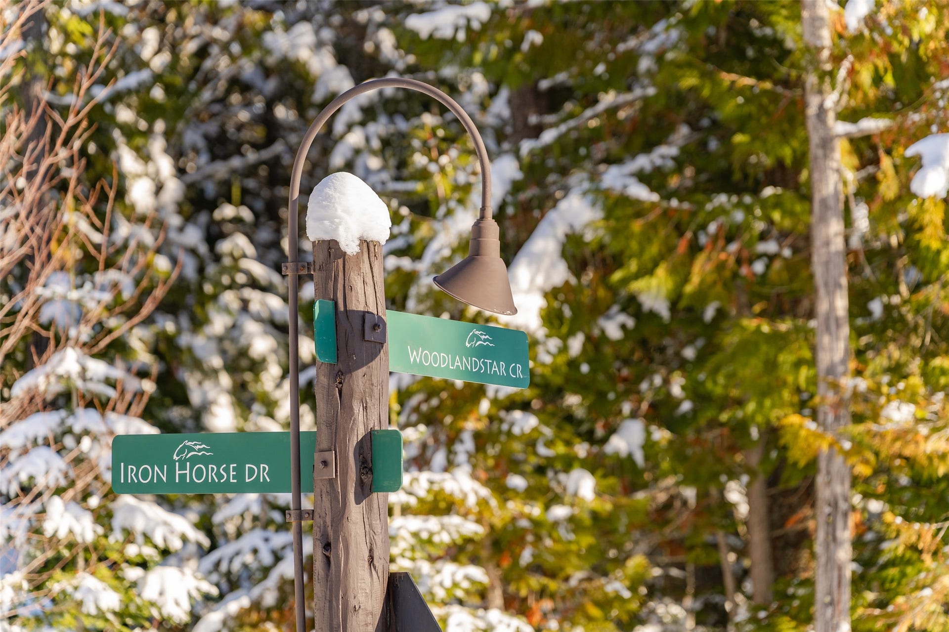 165 Woodland Star Circle, Whitefish, MT 59937 165 Woodland Star Circle, Whitefish, MT 59937
