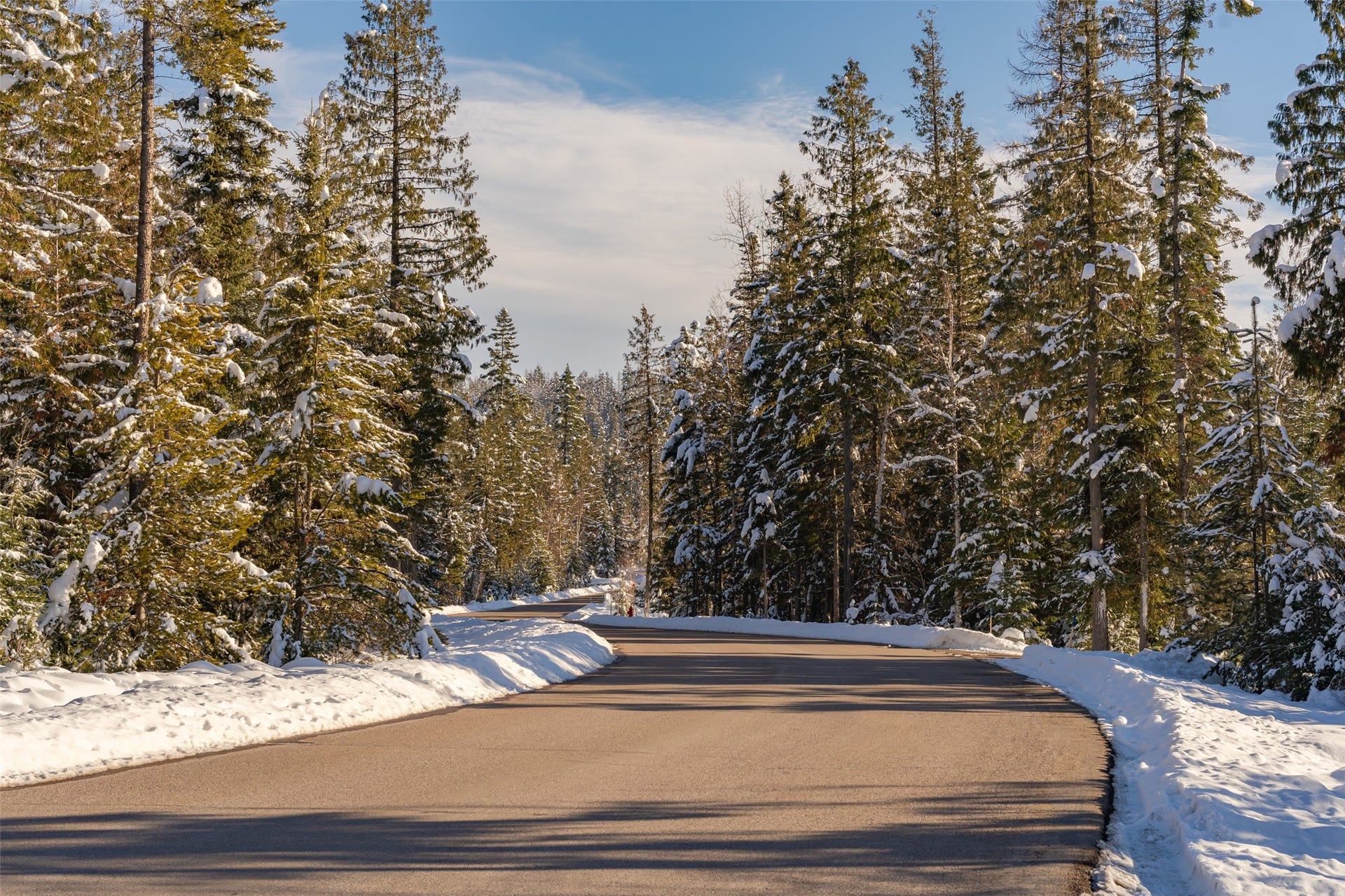 165 Woodland Star Circle, Whitefish, MT 59937 165 Woodland Star Circle, Whitefish, MT 59937