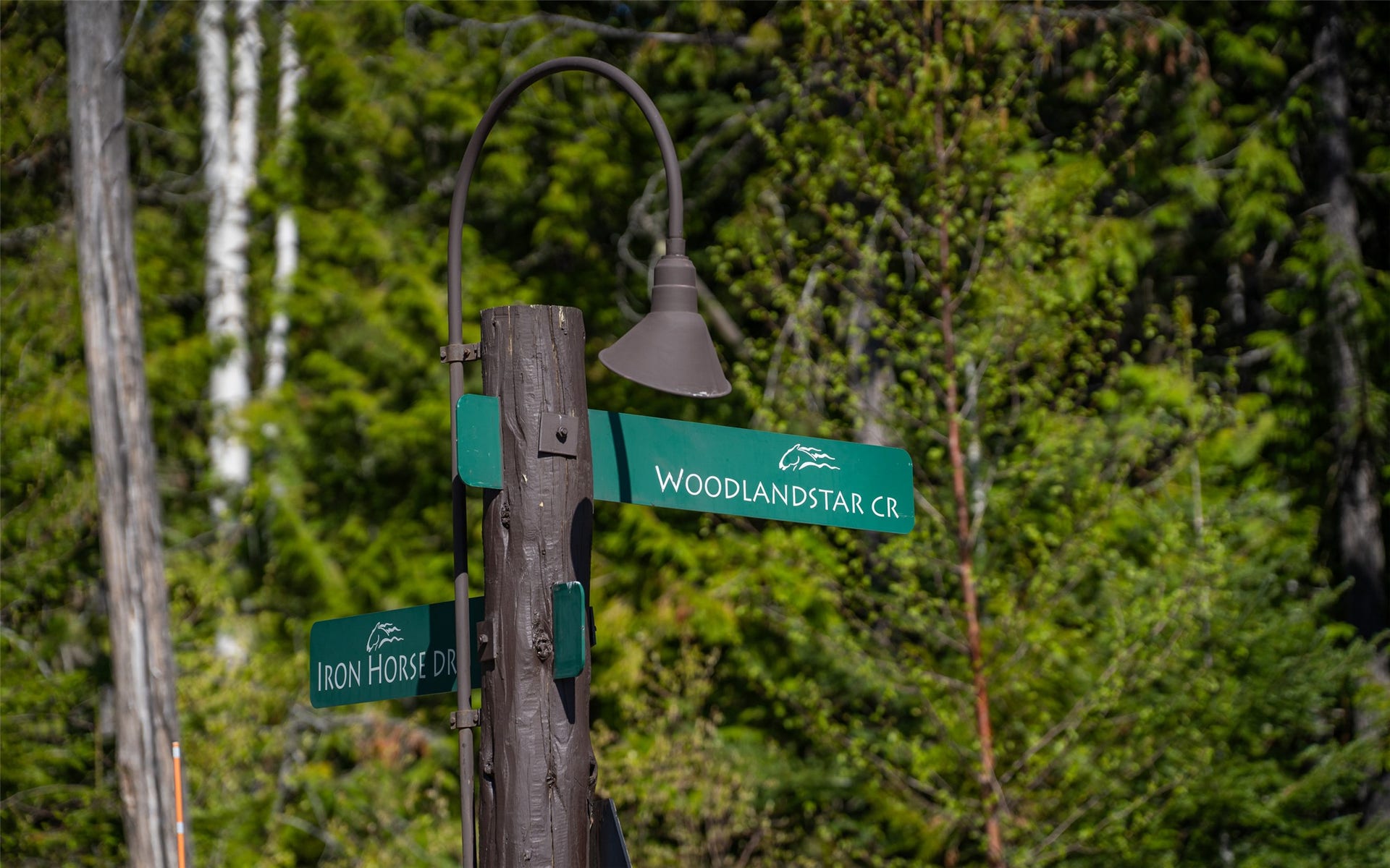165 Woodland Star Circle, Whitefish, MT 59937 165 Woodland Star Circle, Whitefish, MT 59937