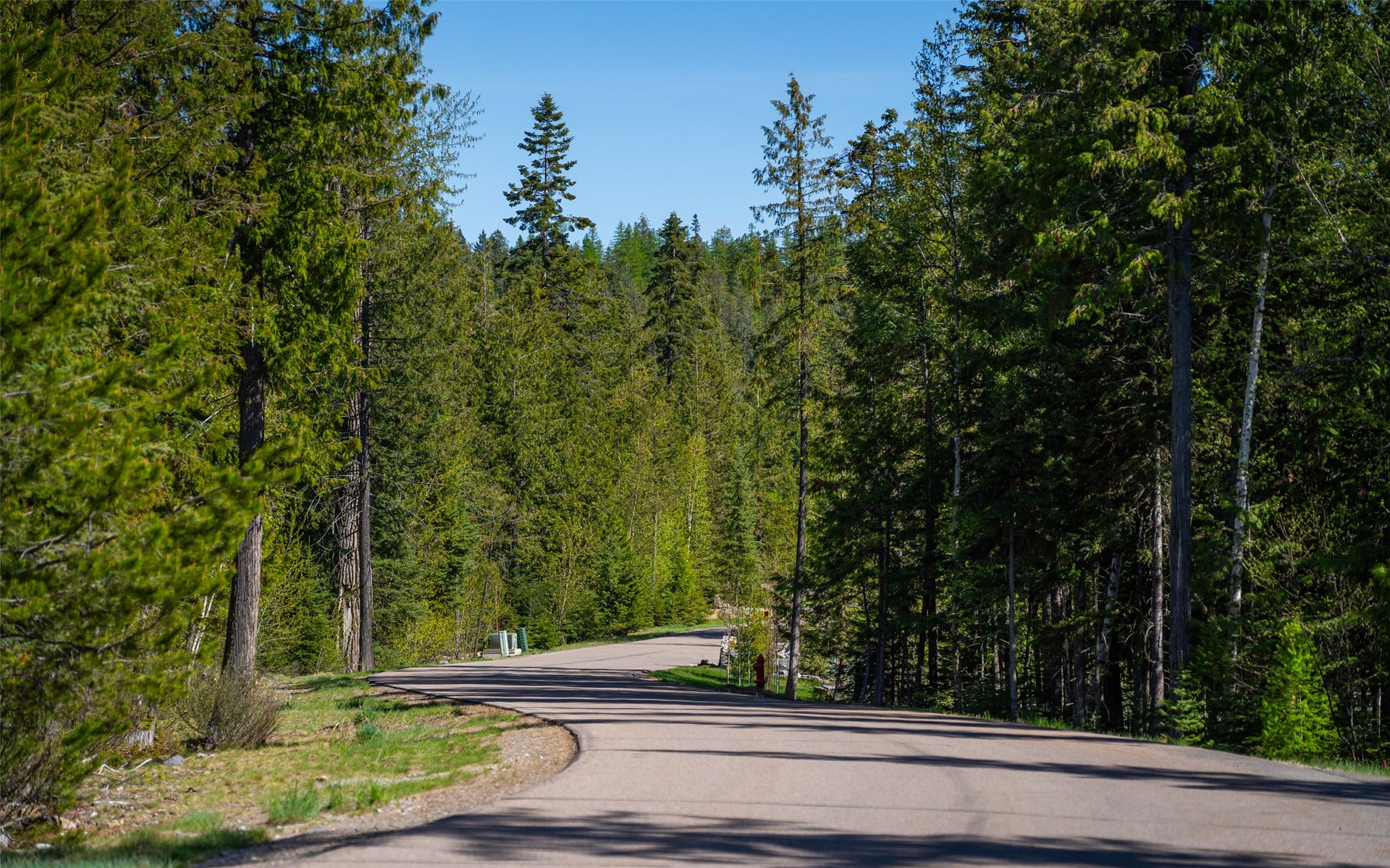 165 Woodland Star Circle, Whitefish, MT 59937 165 Woodland Star Circle, Whitefish, MT 59937