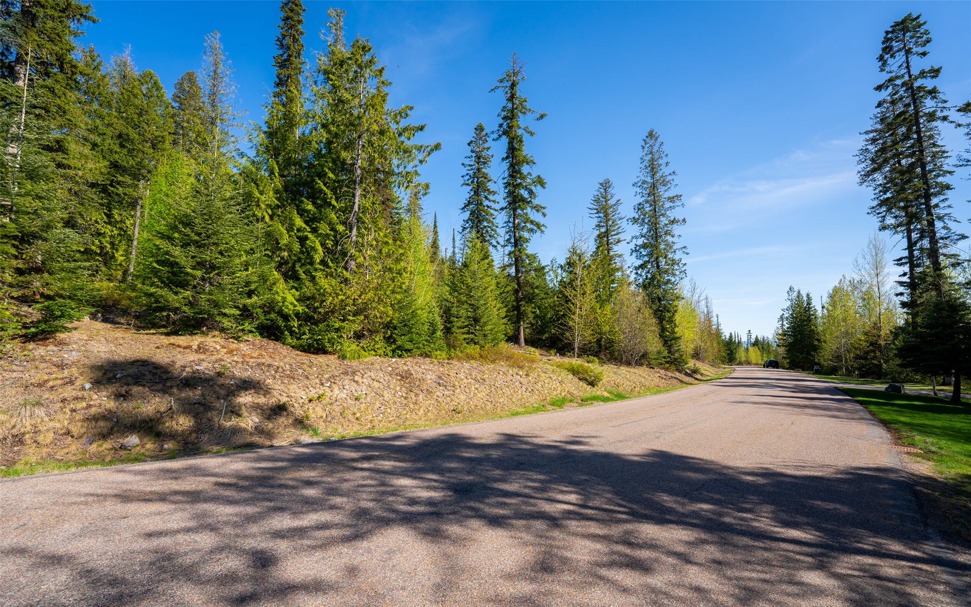 165 Woodland Star Circle, Whitefish, MT 59937 165 Woodland Star Circle, Whitefish, MT 59937