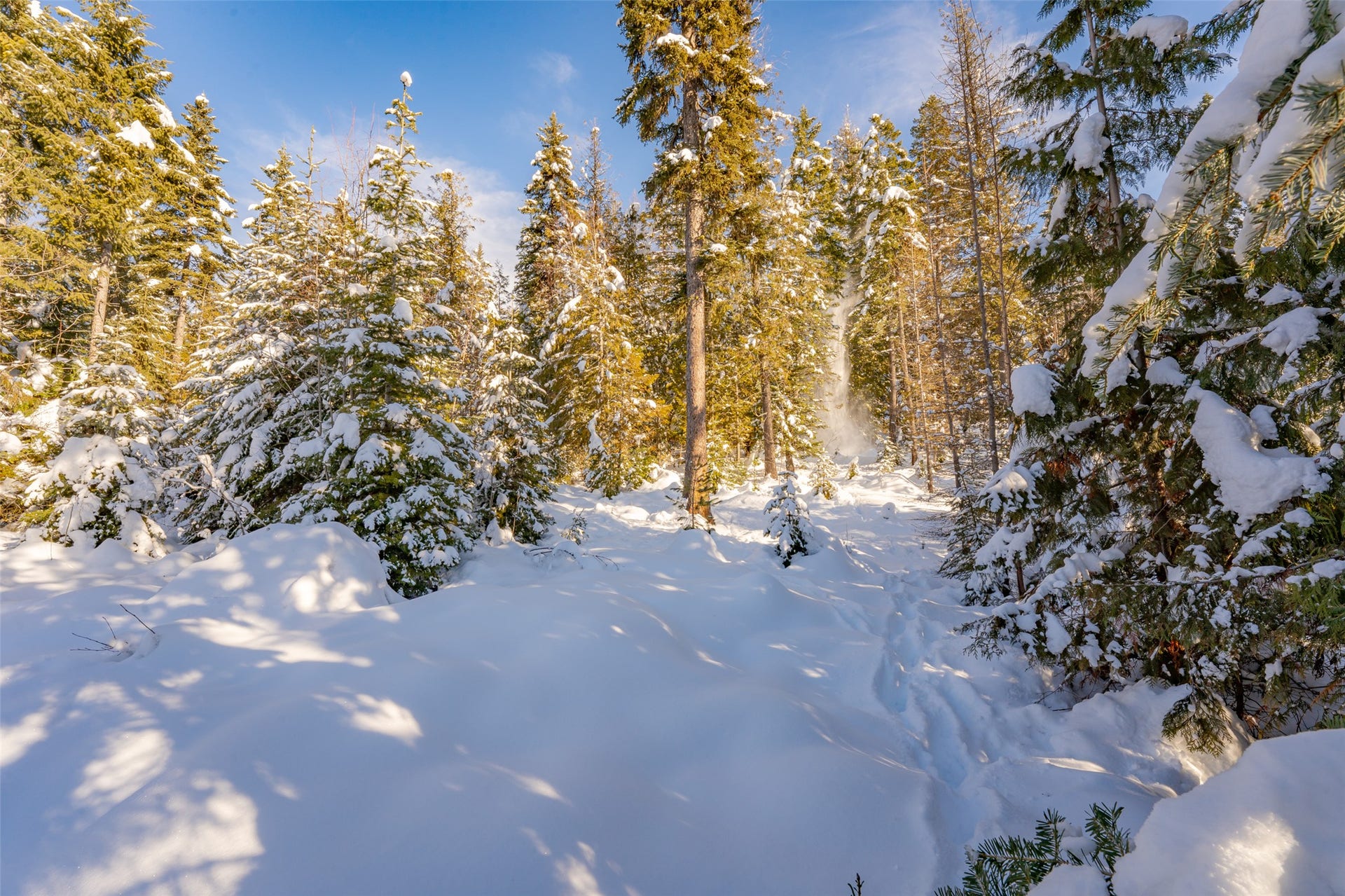 165 Woodland Star Circle, Whitefish, MT 59937 165 Woodland Star Circle, Whitefish, MT 59937