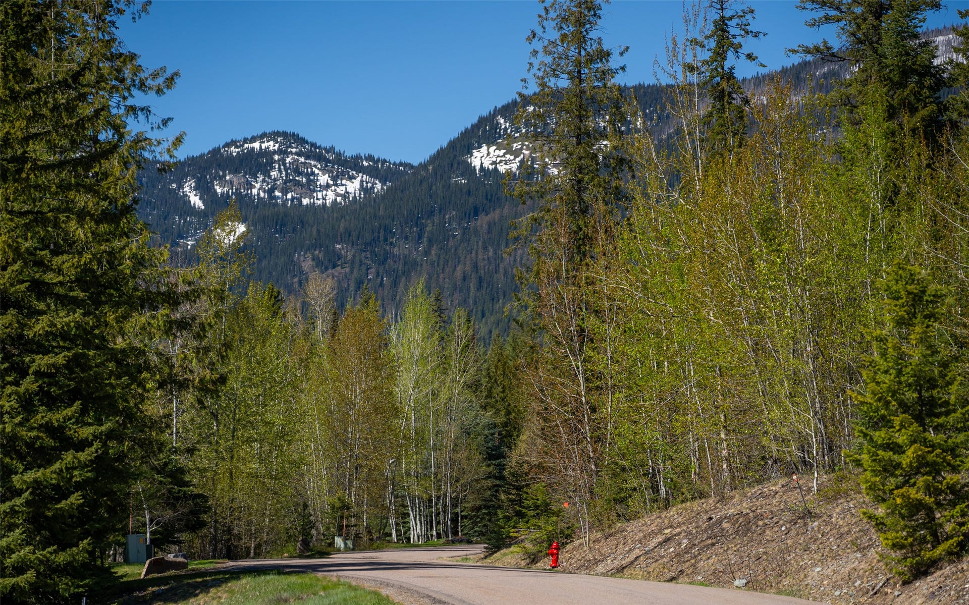165 Woodland Star Circle, Whitefish, MT 59937 165 Woodland Star Circle, Whitefish, MT 59937