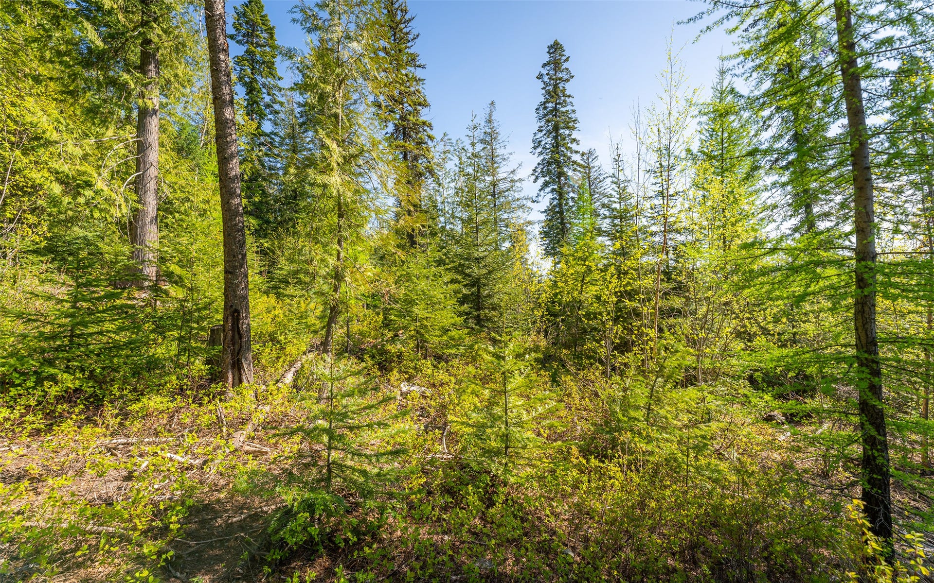 165 Woodland Star Circle, Whitefish, MT 59937 165 Woodland Star Circle, Whitefish, MT 59937