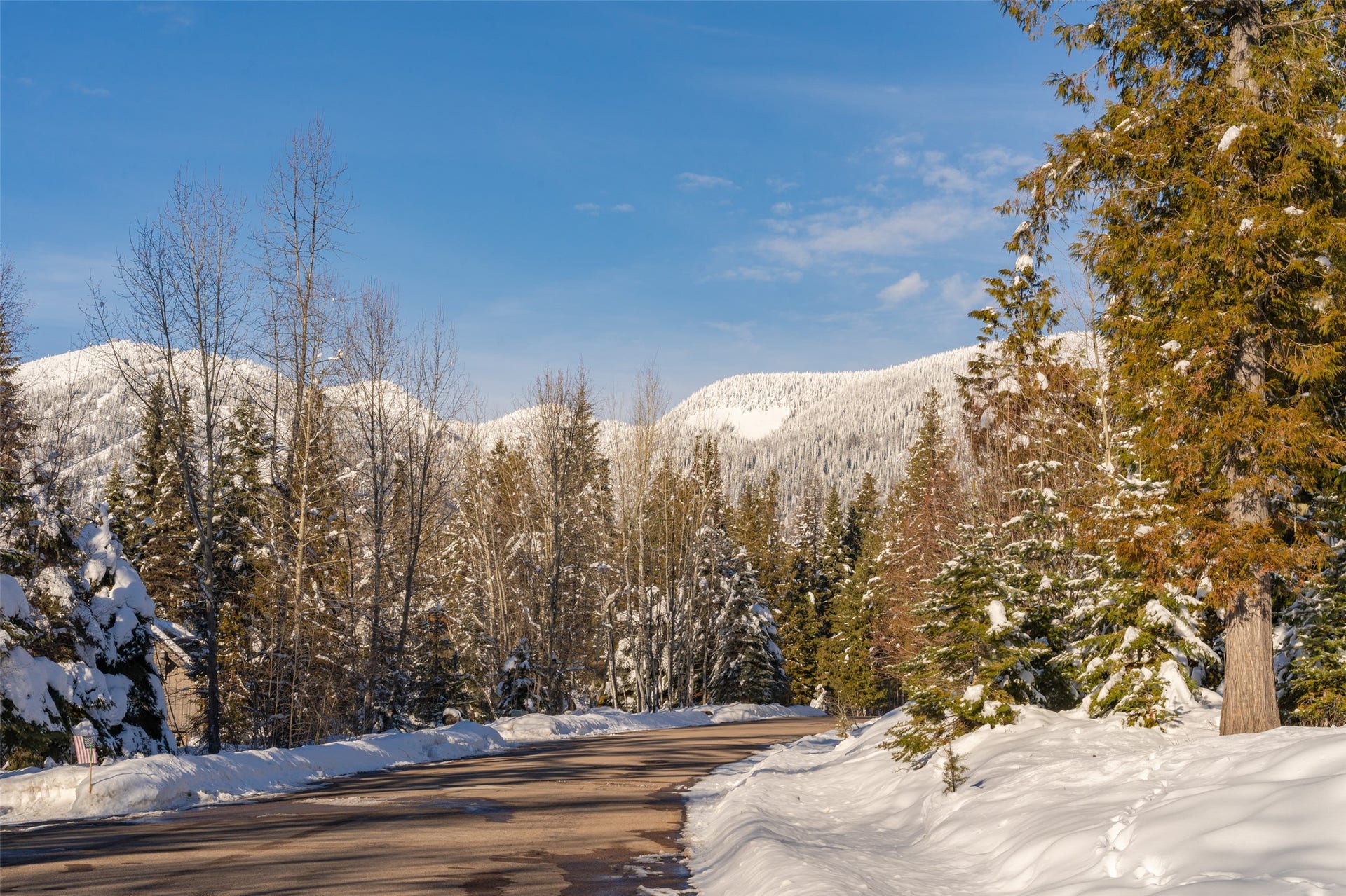 165 Woodland Star Circle, Whitefish, MT 59937 165 Woodland Star Circle, Whitefish, MT 59937