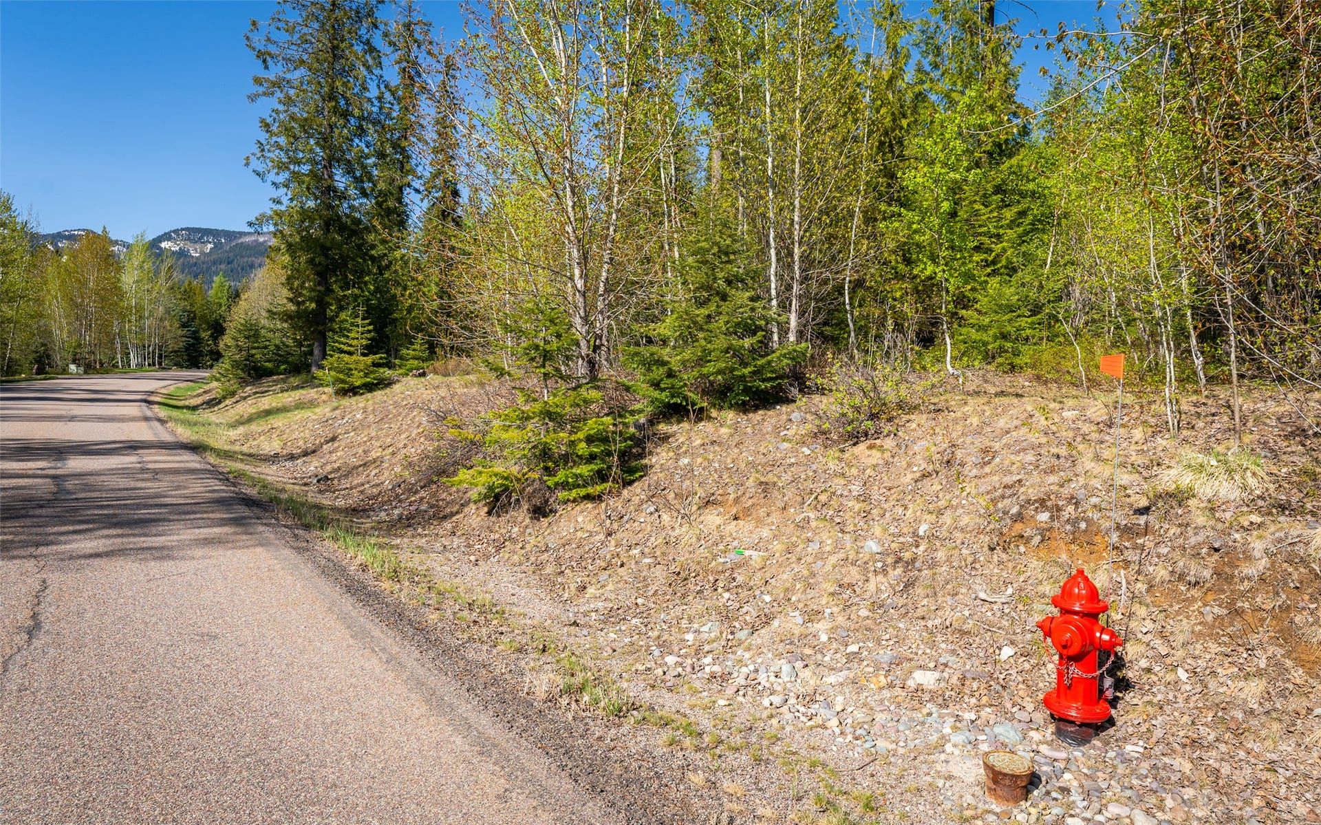 165 Woodland Star Circle, Whitefish, MT 59937 165 Woodland Star Circle, Whitefish, MT 59937