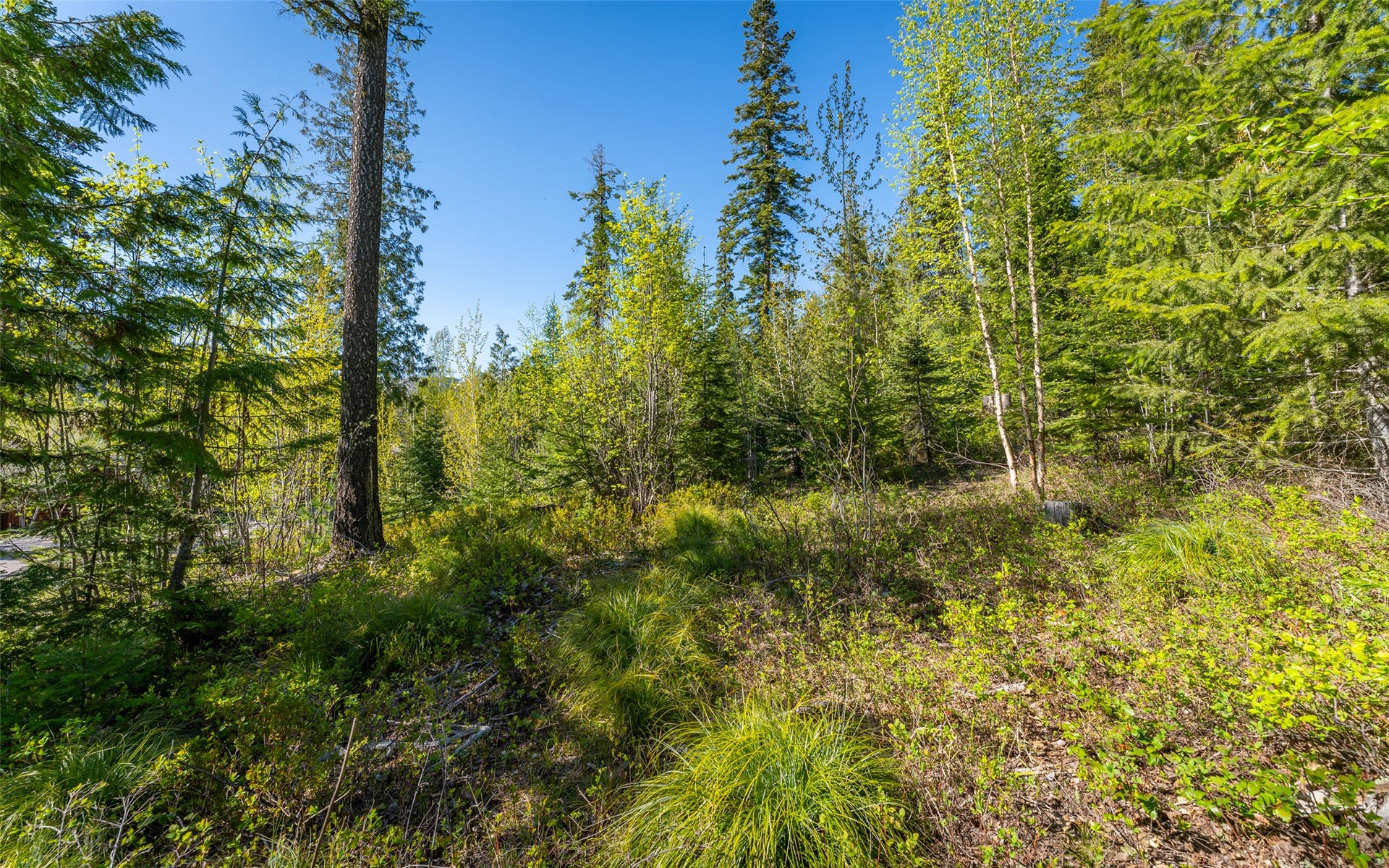 165 Woodland Star Circle, Whitefish, MT 59937 165 Woodland Star Circle, Whitefish, MT 59937
