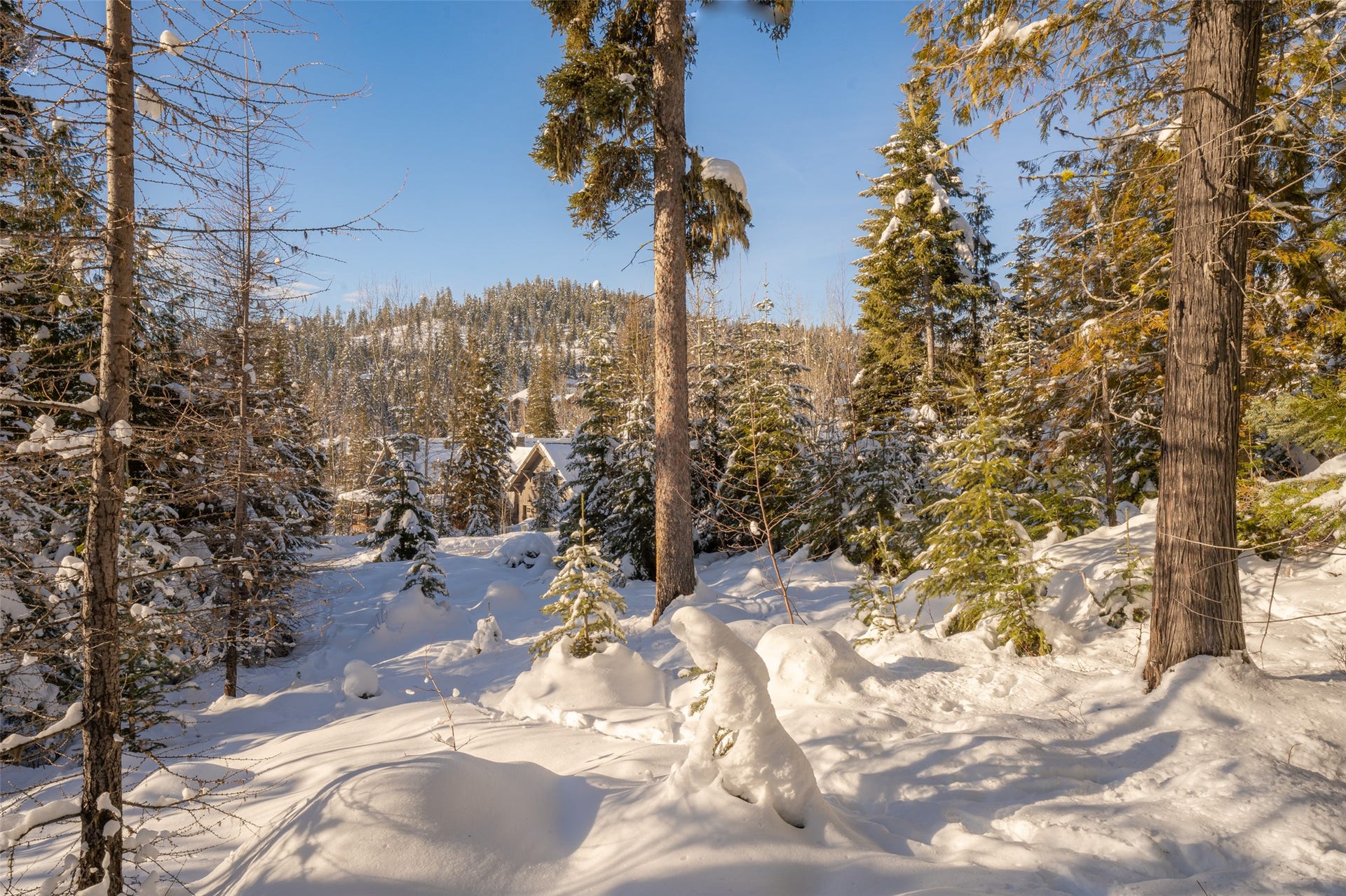 165 Woodland Star Circle, Whitefish, MT 59937 165 Woodland Star Circle, Whitefish, MT 59937