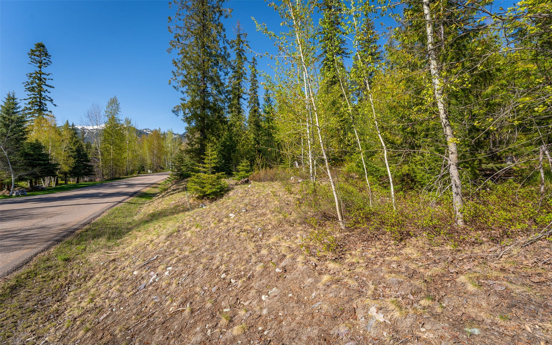 165 Woodland Star Circle, Whitefish, MT 59937 165 Woodland Star Circle, Whitefish, MT 59937