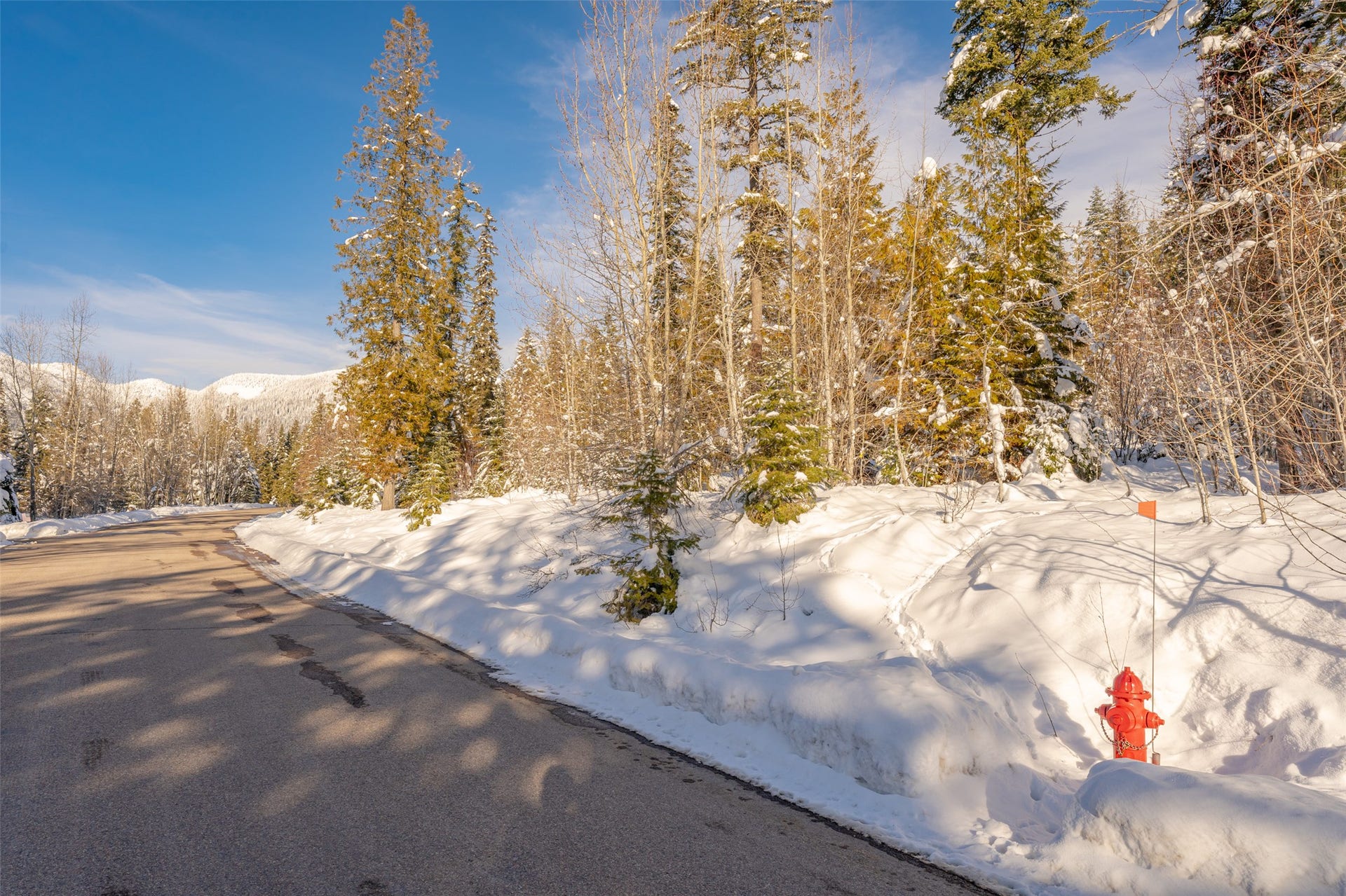 165 Woodland Star Circle, Whitefish, MT 59937 165 Woodland Star Circle, Whitefish, MT 59937