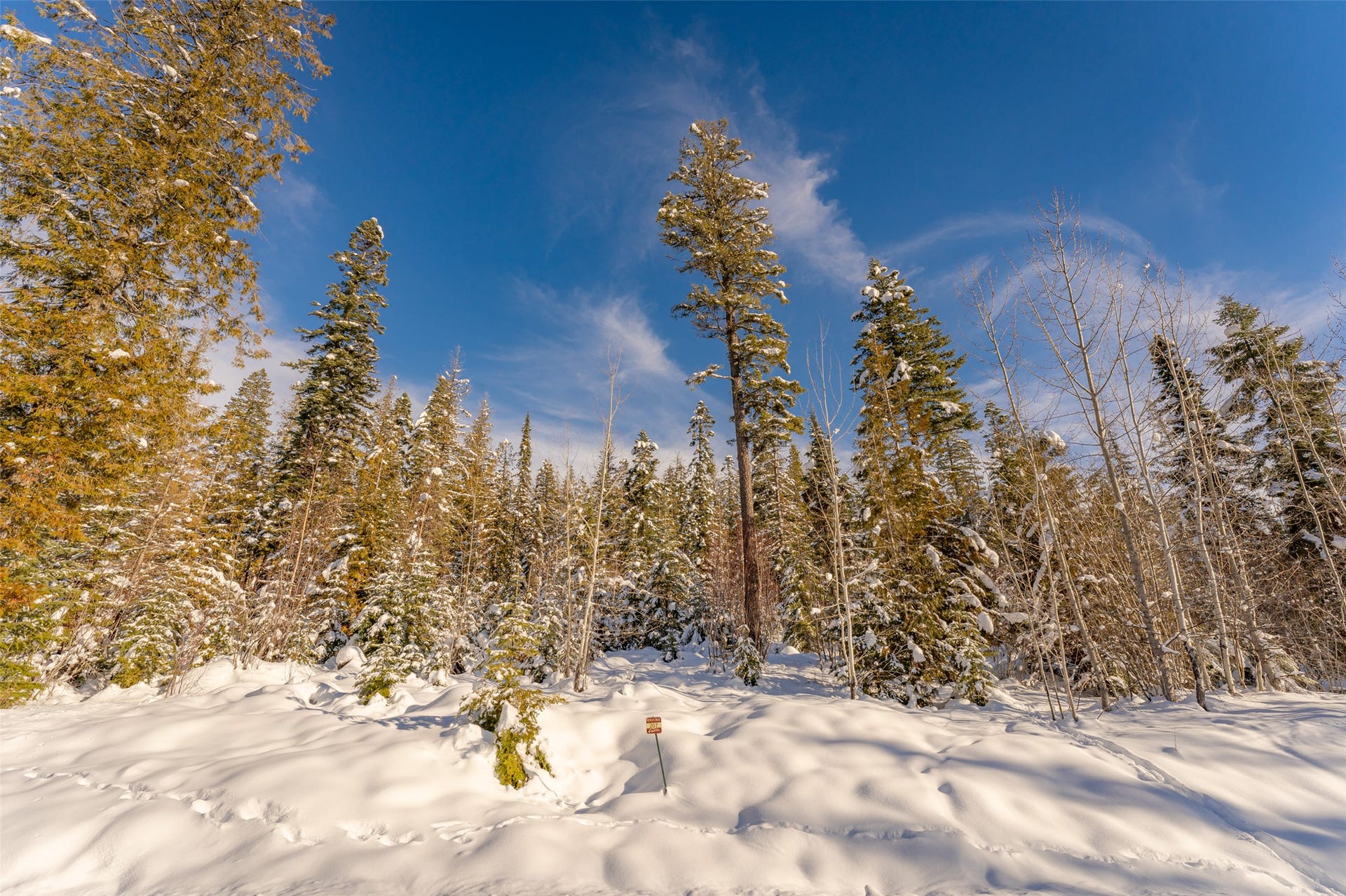 165 Woodland Star Circle, Whitefish, MT 59937 165 Woodland Star Circle, Whitefish, MT 59937