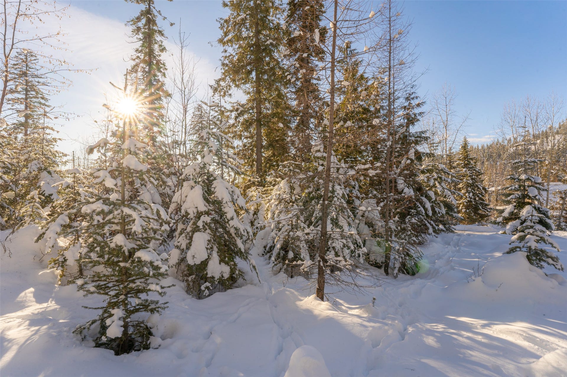 165 Woodland Star Circle, Whitefish, MT 59937 165 Woodland Star Circle, Whitefish, MT 59937
