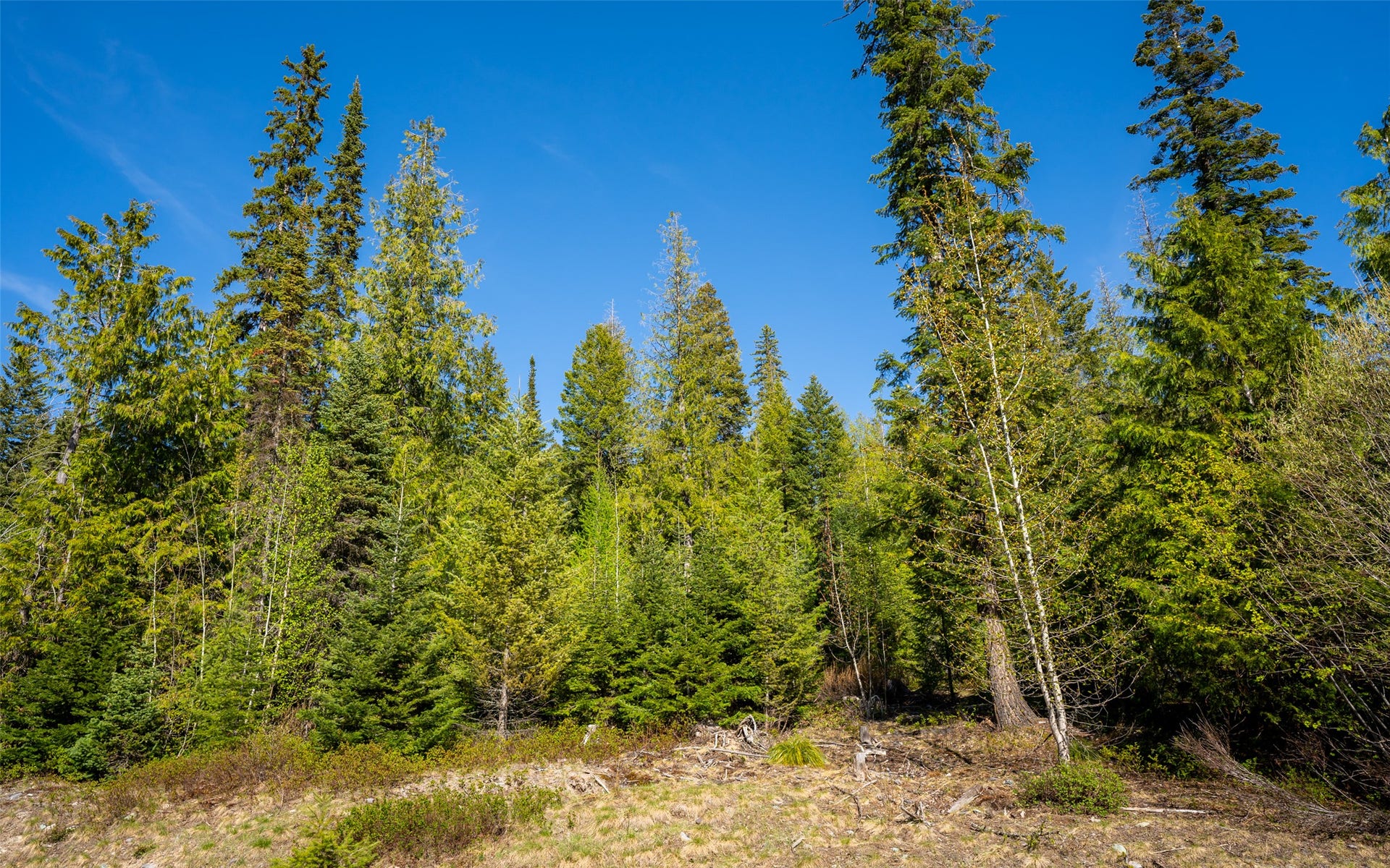 165 Woodland Star Circle, Whitefish, MT 59937 165 Woodland Star Circle, Whitefish, MT 59937