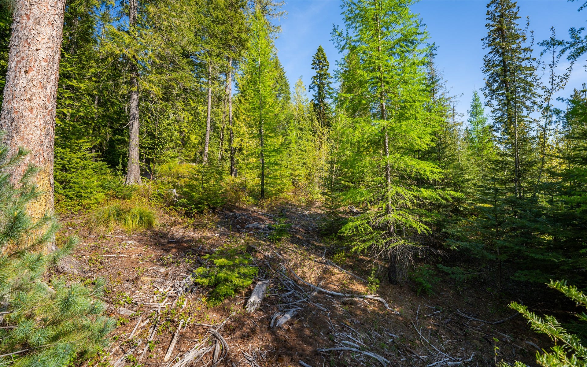 165 Woodland Star Circle, Whitefish, MT 59937 165 Woodland Star Circle, Whitefish, MT 59937