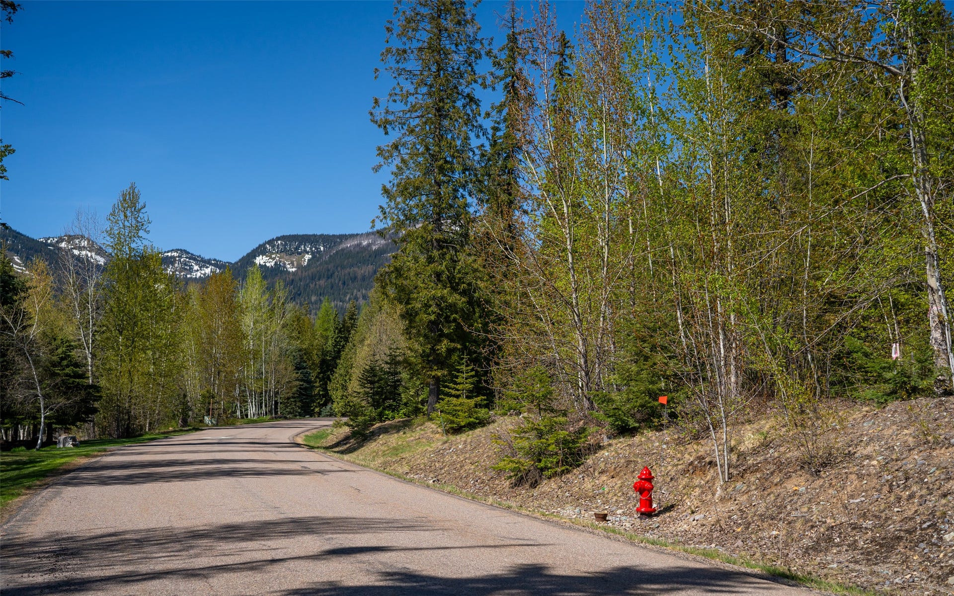 165 Woodland Star Circle, Whitefish, MT 59937 165 Woodland Star Circle, Whitefish, MT 59937
