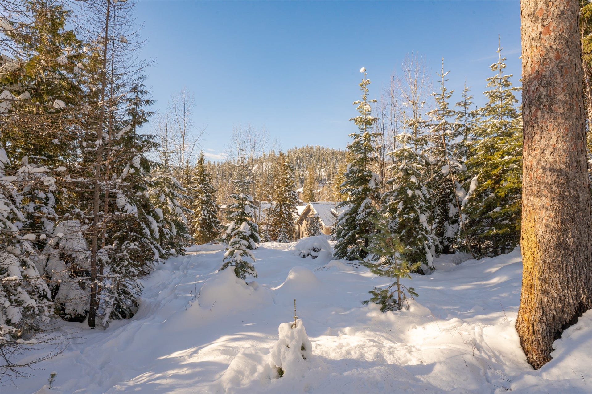 165 Woodland Star Circle, Whitefish, MT 59937 165 Woodland Star Circle, Whitefish, MT 59937