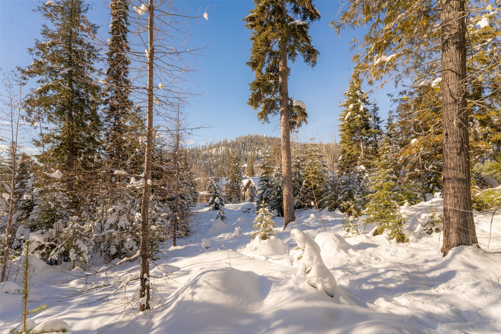 165 Woodland Star Circle, Whitefish, MT 59937 165 Woodland Star Circle, Whitefish, MT 59937