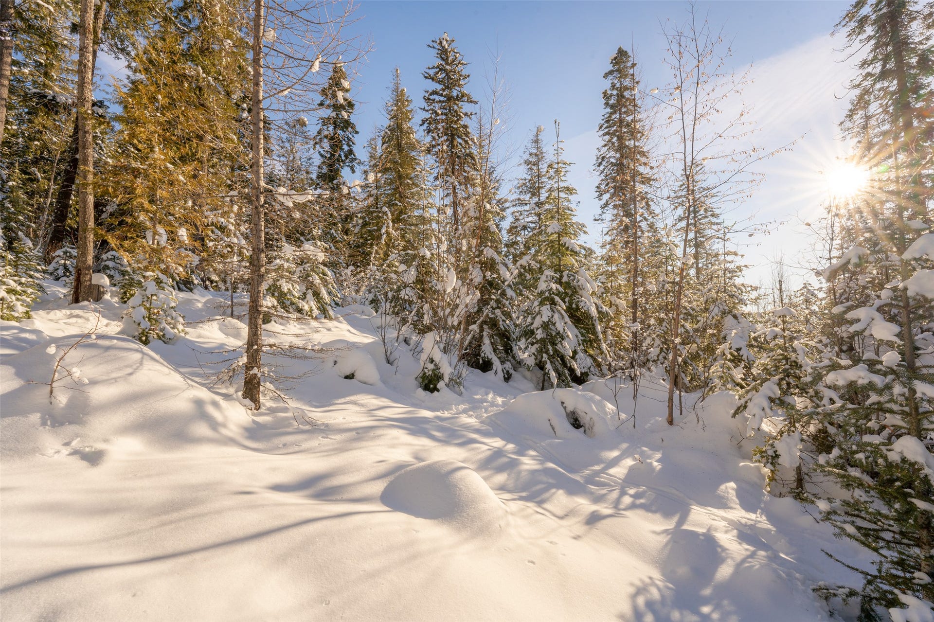 165 Woodland Star Circle, Whitefish, MT 59937 165 Woodland Star Circle, Whitefish, MT 59937