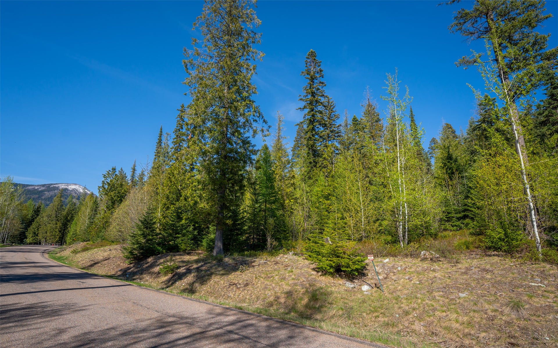 165 Woodland Star Circle, Whitefish, MT 59937 165 Woodland Star Circle, Whitefish, MT 59937