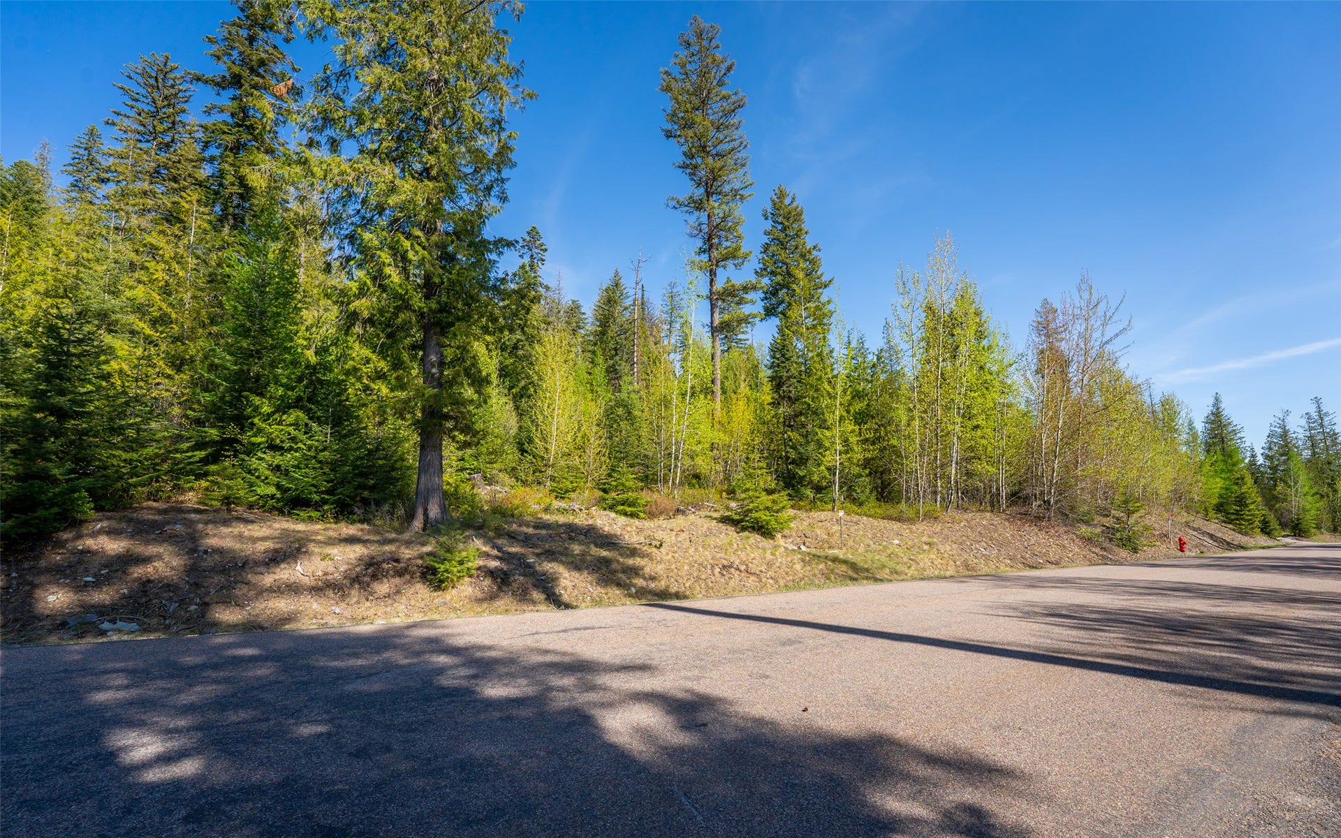 165 Woodland Star Circle, Whitefish, MT 59937 165 Woodland Star Circle, Whitefish, MT 59937