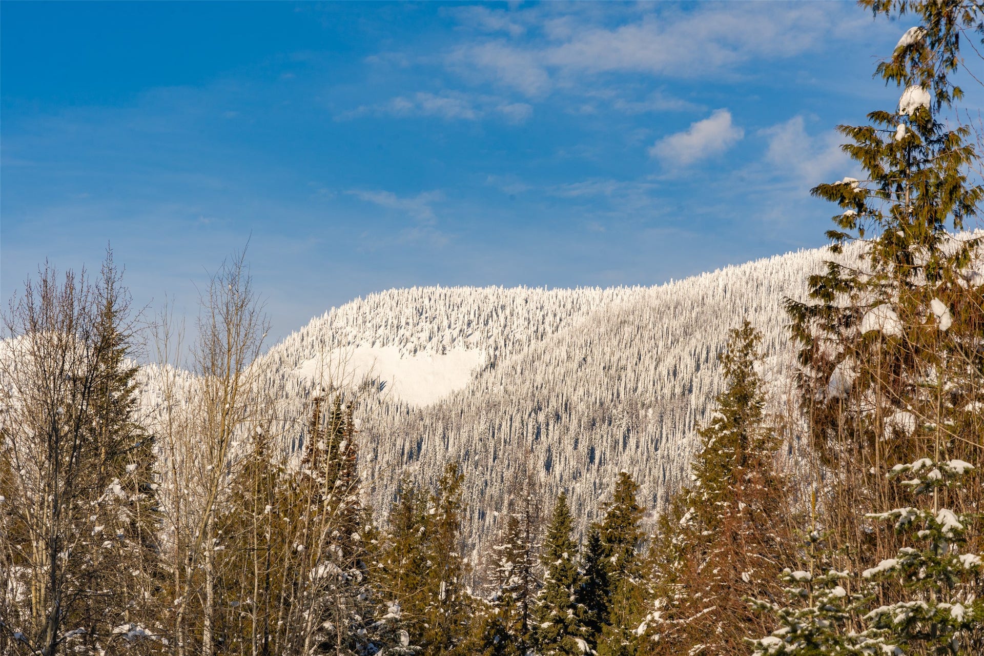 165 Woodland Star Circle, Whitefish, MT 59937 165 Woodland Star Circle, Whitefish, MT 59937
