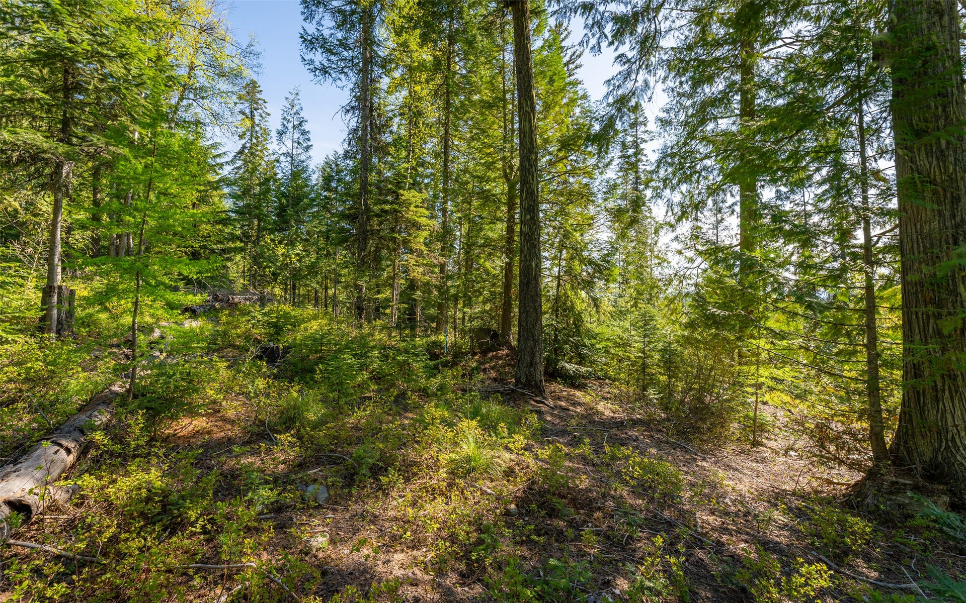 165 Woodland Star Circle, Whitefish, MT 59937 165 Woodland Star Circle, Whitefish, MT 59937