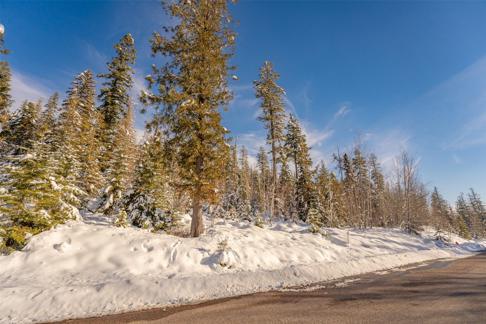 165 Woodland Star Circle, Whitefish, MT 59937 165 Woodland Star Circle, Whitefish, MT 59937