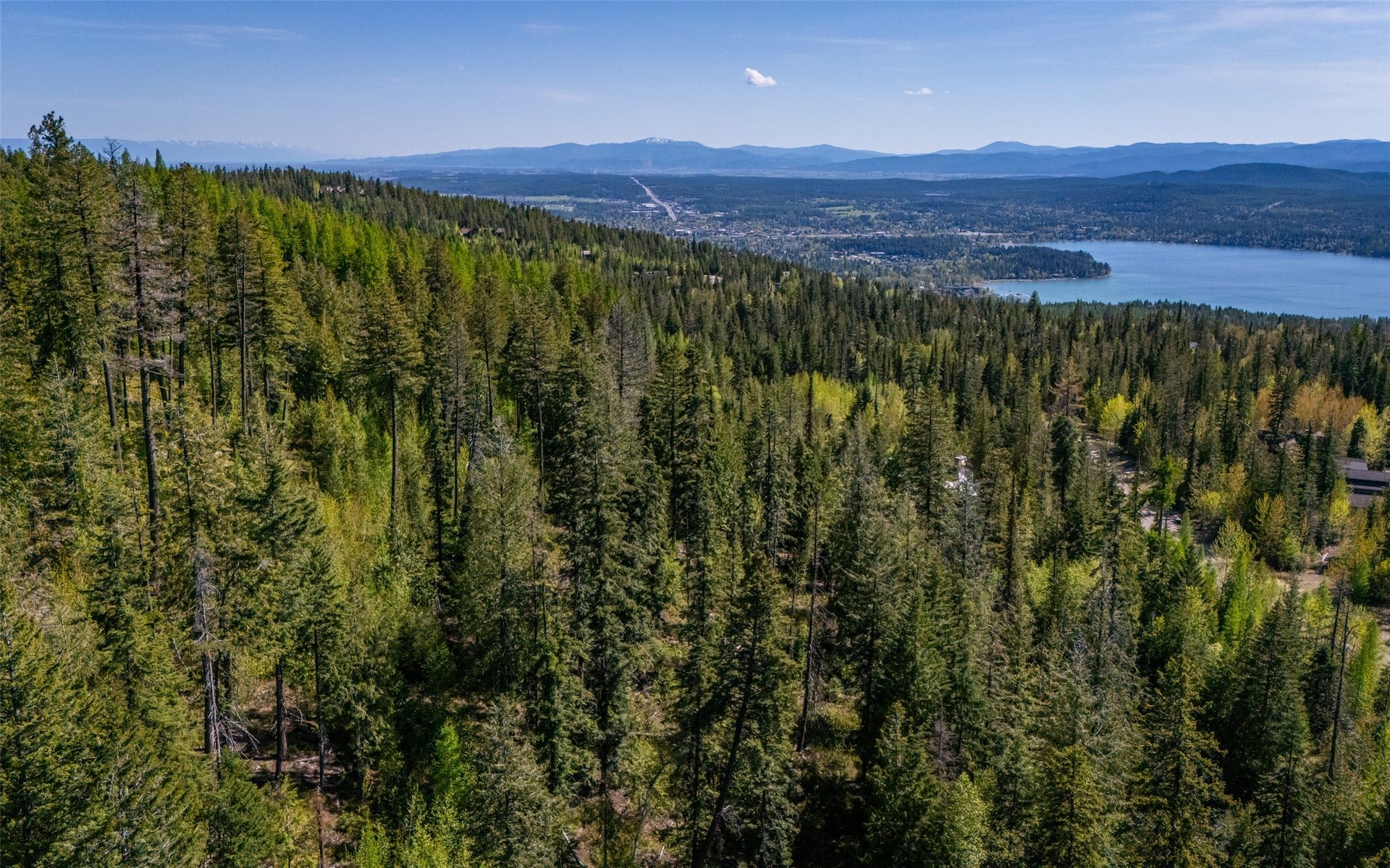 165 Woodland Star Circle, Whitefish, MT 59937 165 Woodland Star Circle, Whitefish, MT 59937