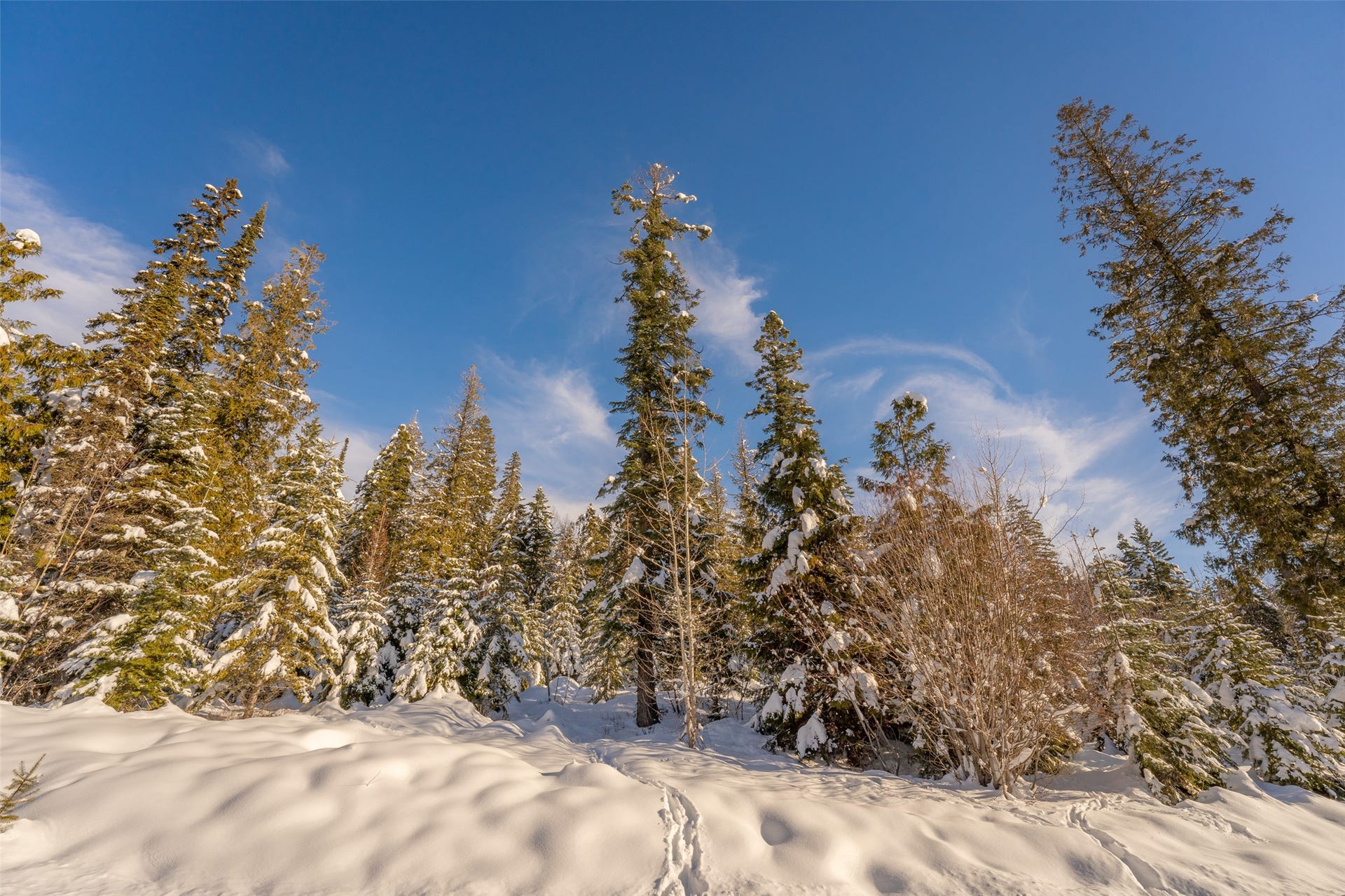 165 Woodland Star Circle, Whitefish, MT 59937 165 Woodland Star Circle, Whitefish, MT 59937