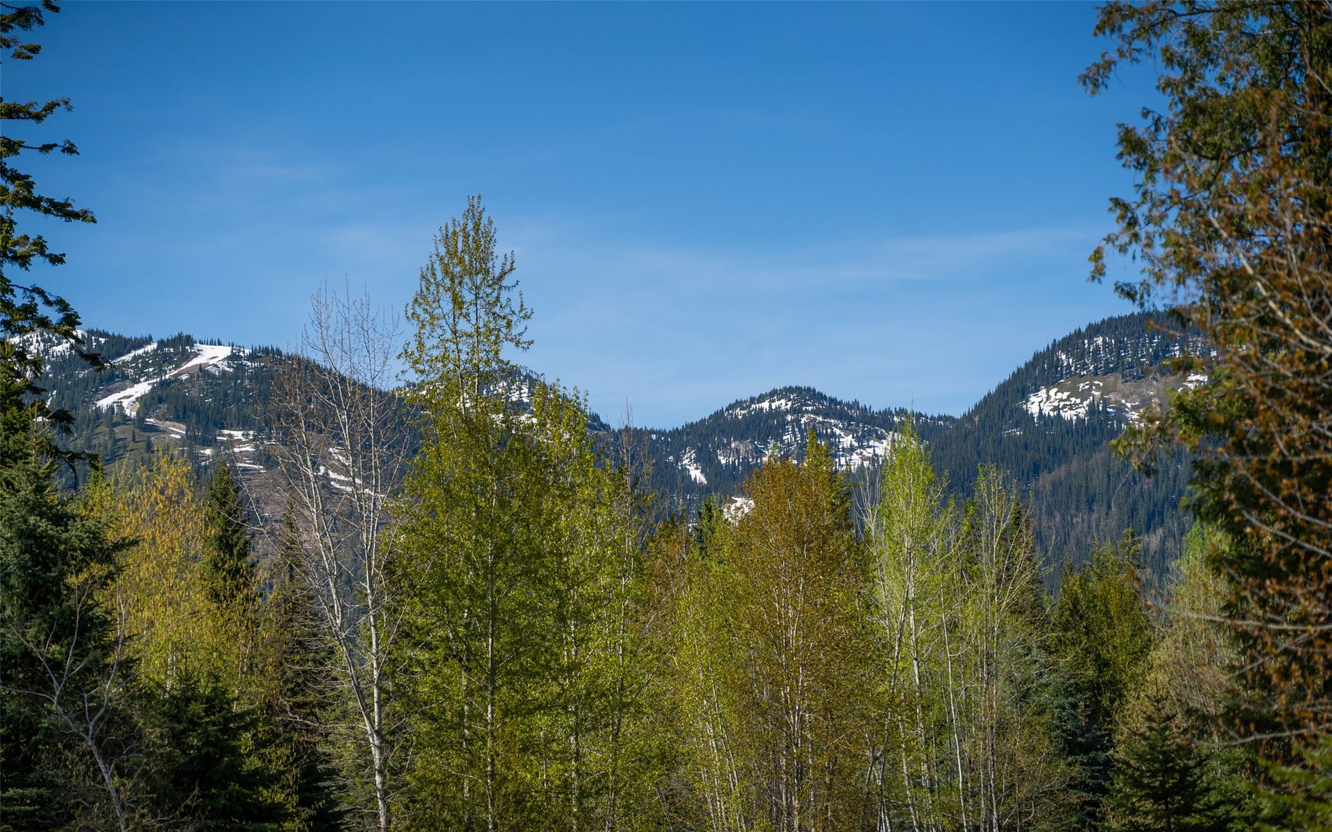165 Woodland Star Circle, Whitefish, MT 59937 165 Woodland Star Circle, Whitefish, MT 59937