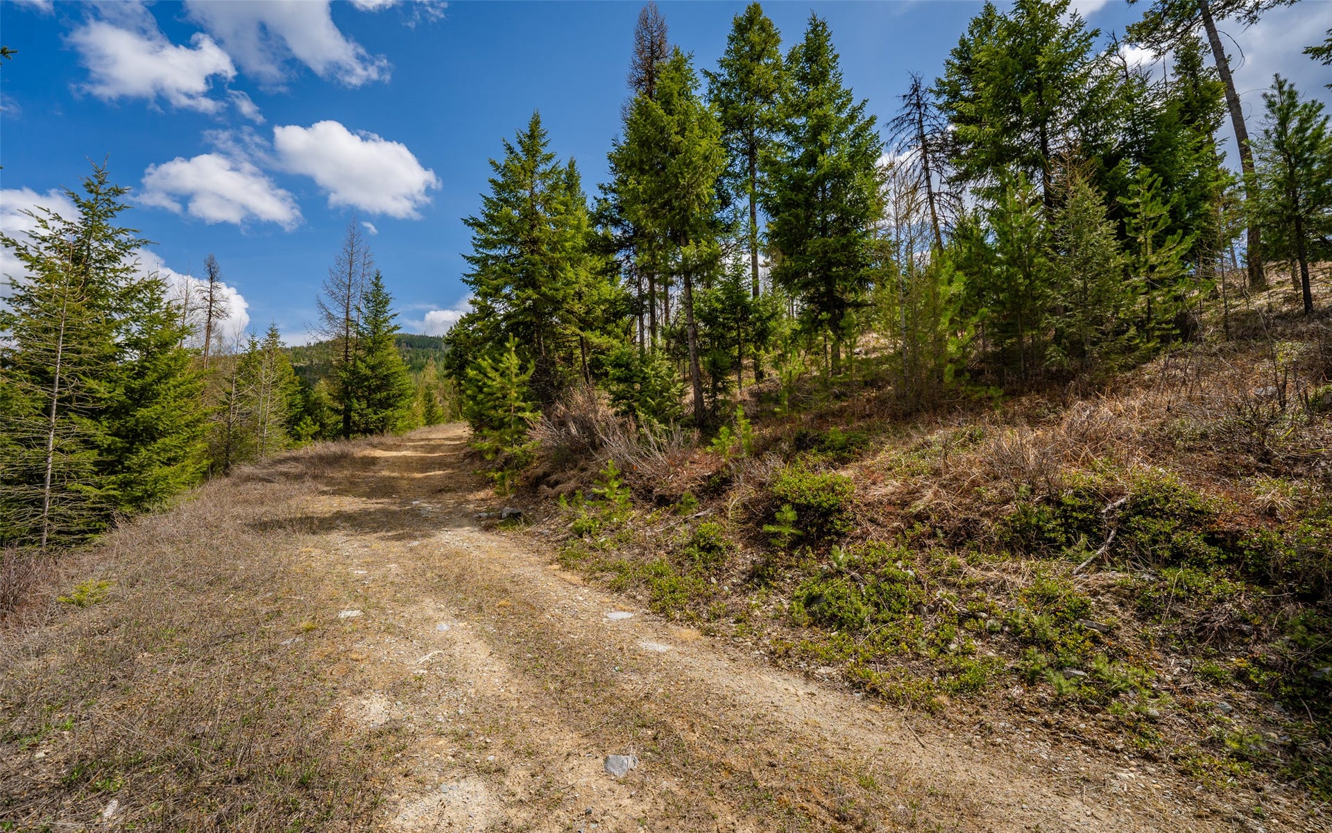120 Marion Pines Drive, Marion, MT 59925
