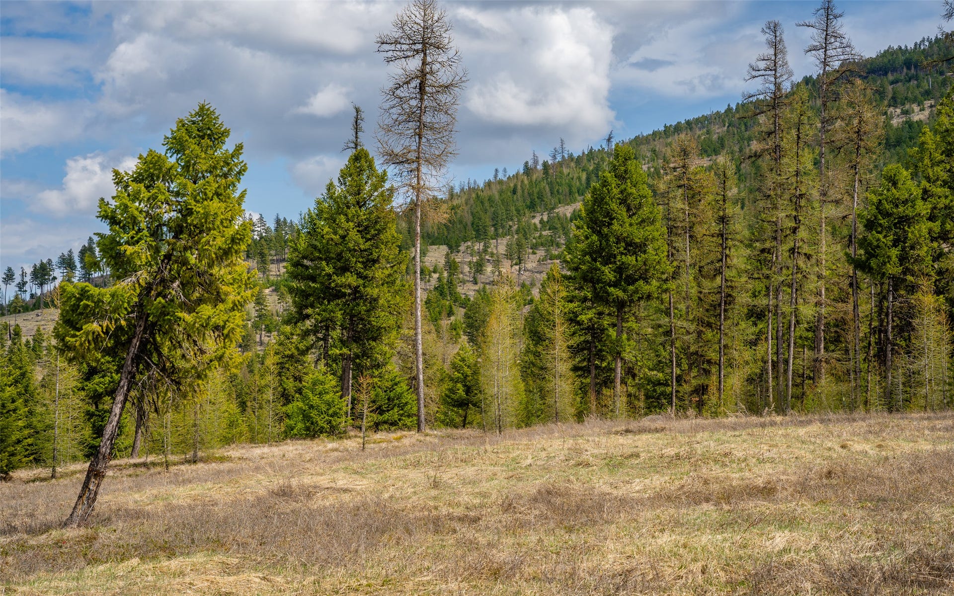 120 Marion Pines Drive, Marion, MT 59925