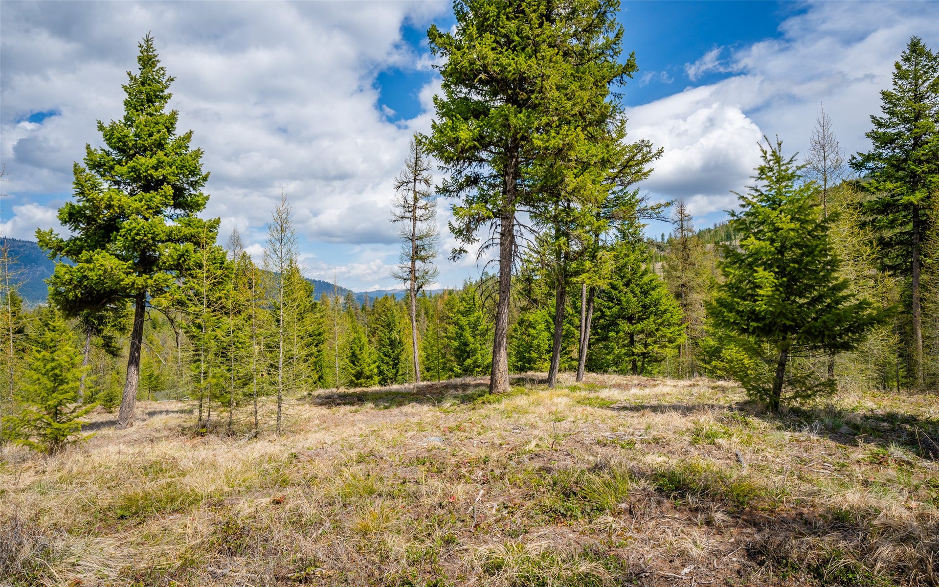 120 Marion Pines Drive, Marion, MT 59925