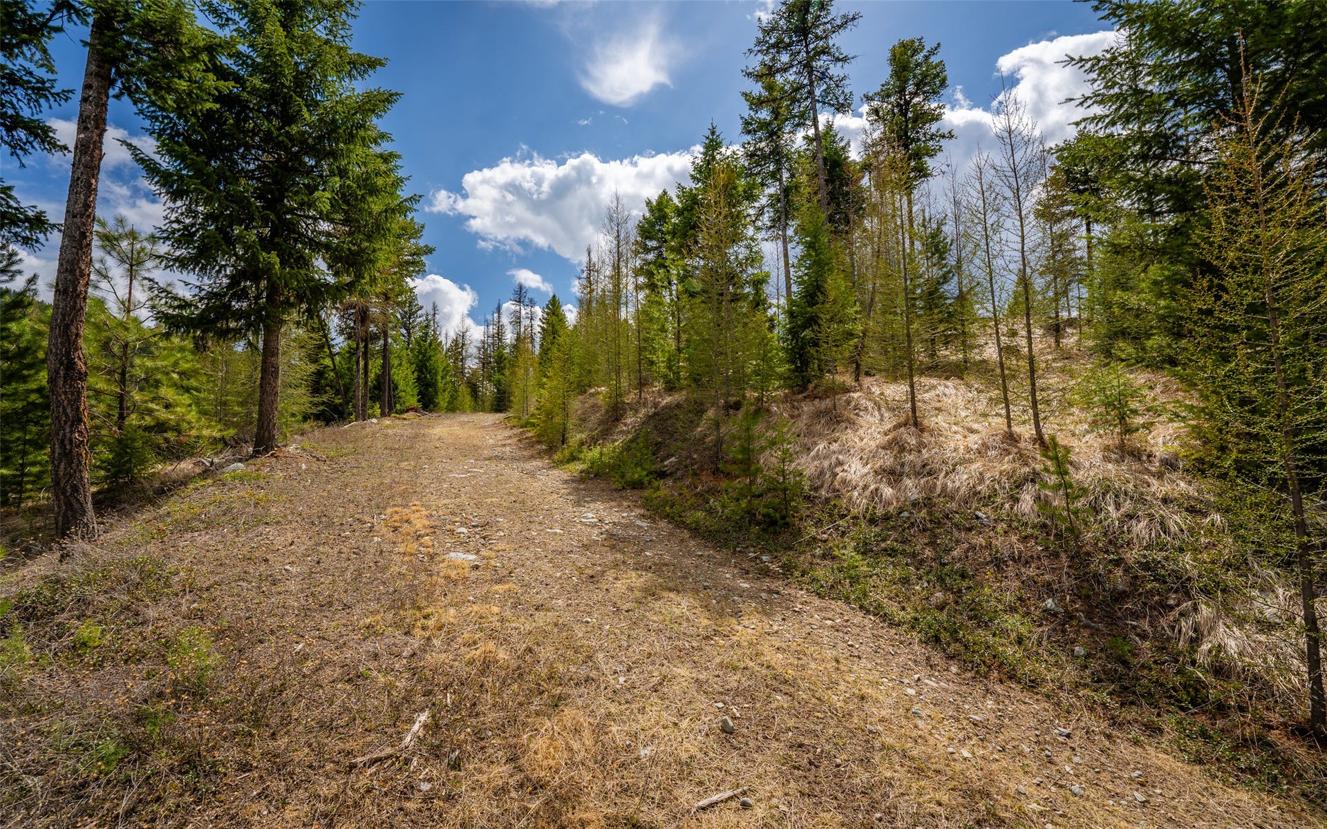 120 Marion Pines Drive, Marion, MT 59925