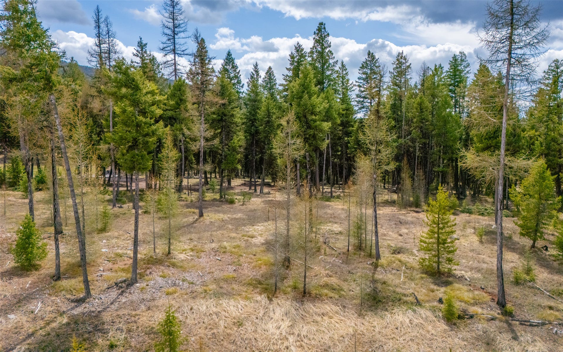 120 Marion Pines Drive, Marion, MT 59925