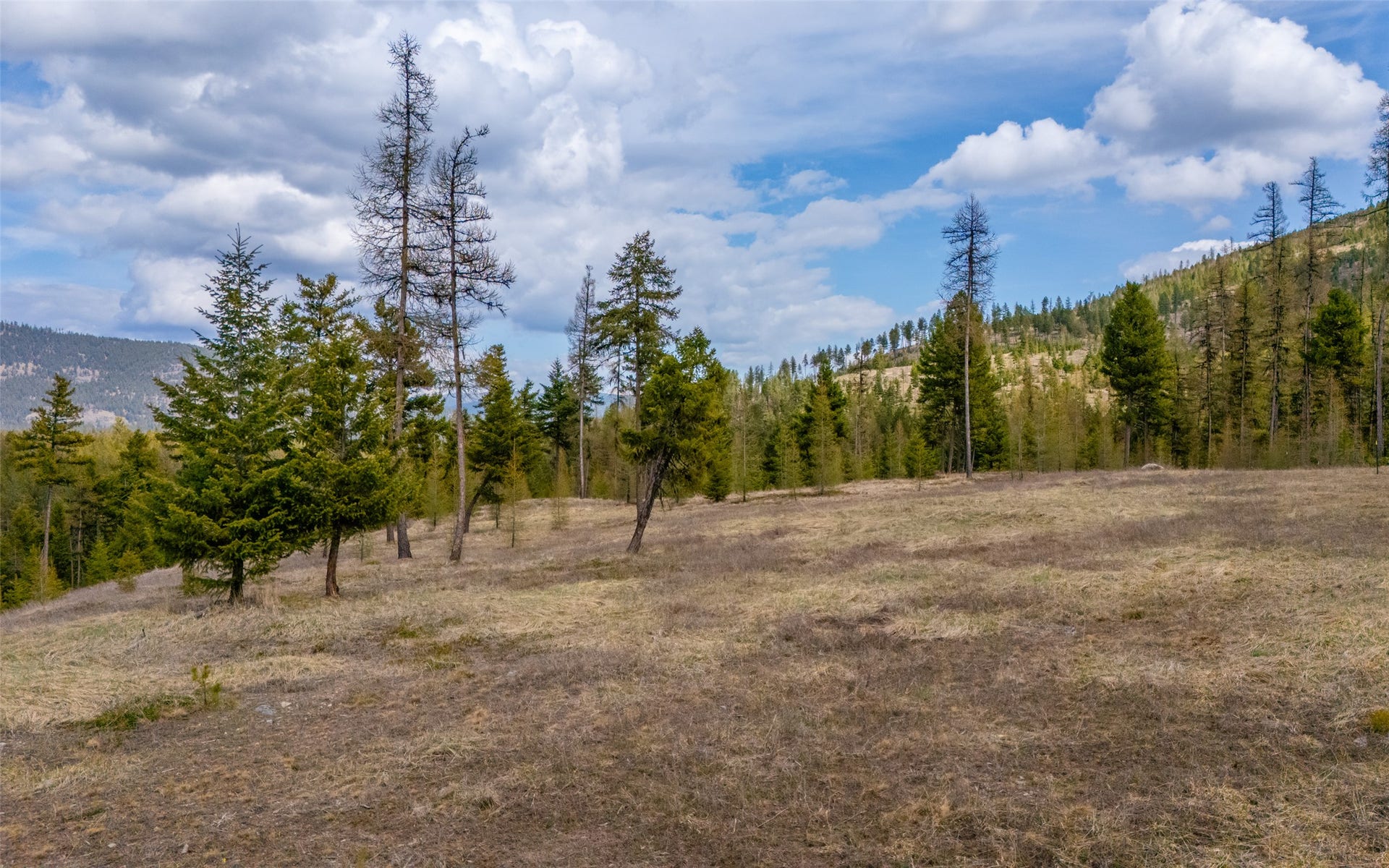 120 Marion Pines Drive, Marion, MT 59925