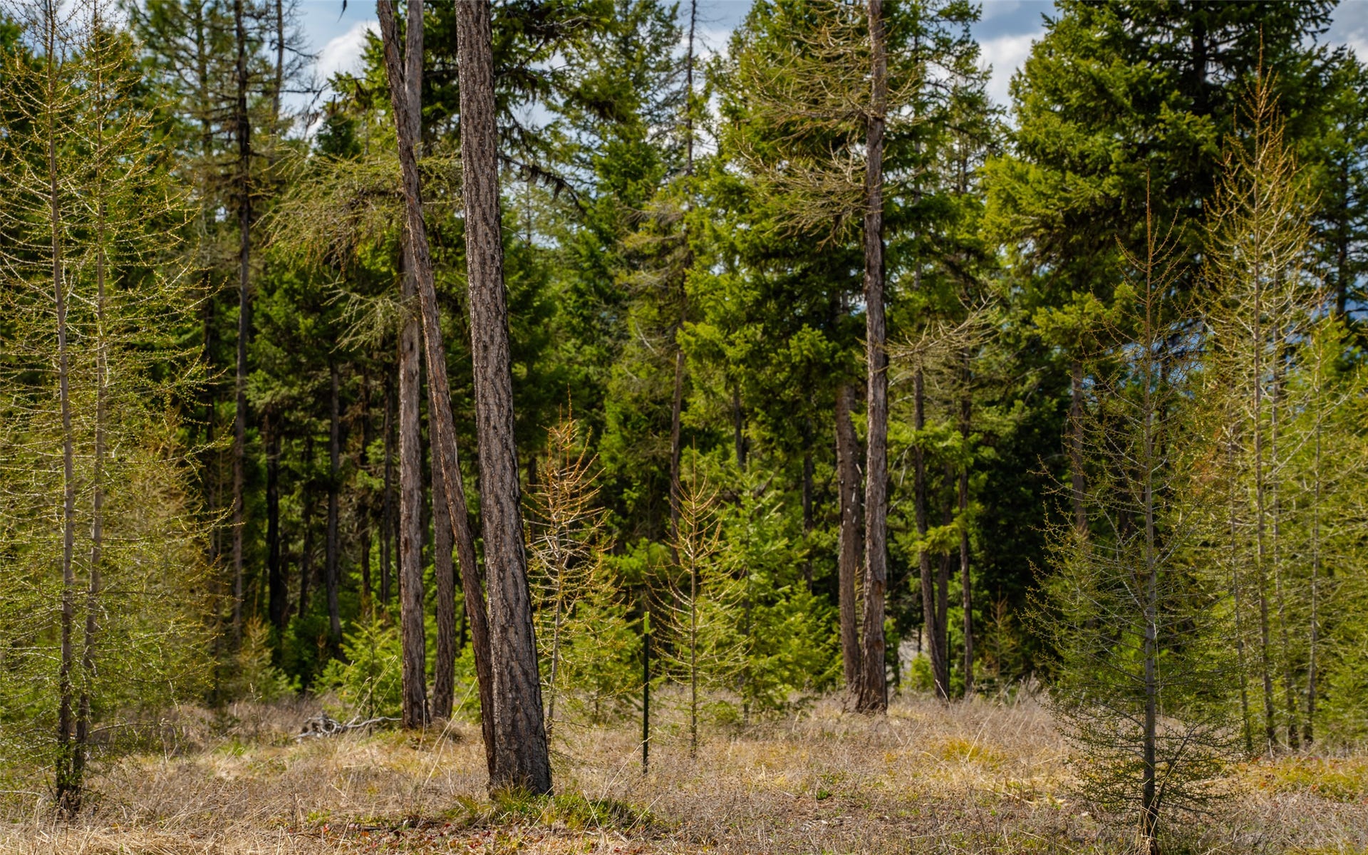 120 Marion Pines Drive, Marion, MT 59925