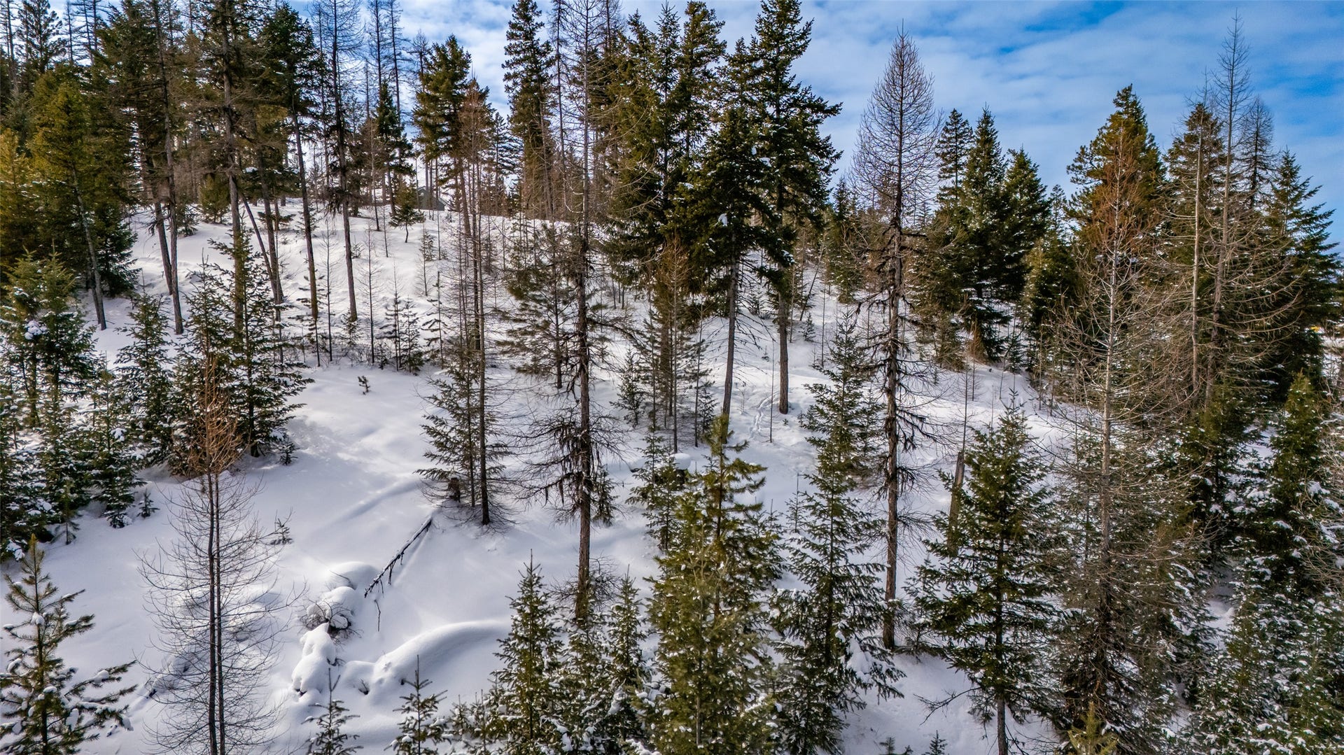 120 Marion Pines Drive, Marion, MT 59925